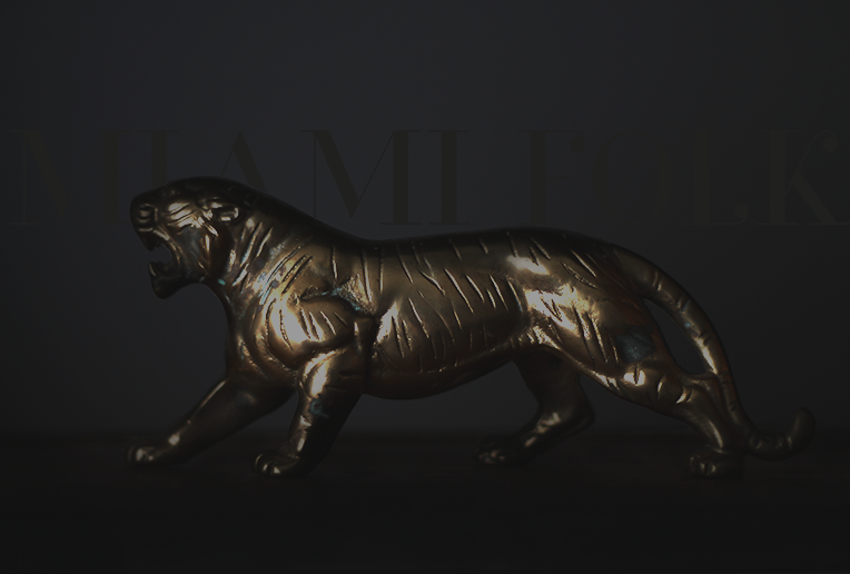 Jaguar cover 1.png