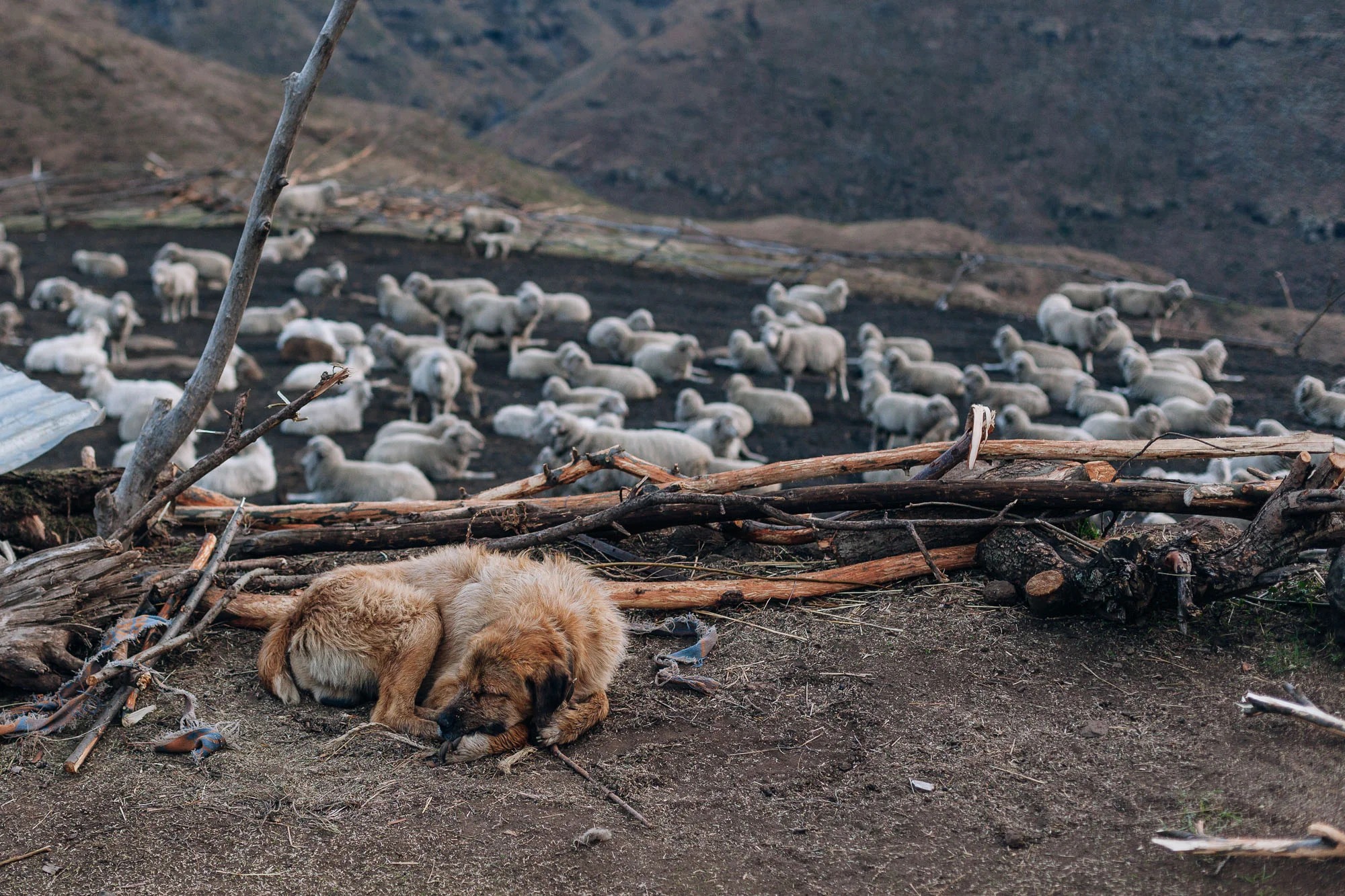 Sleeping on the job