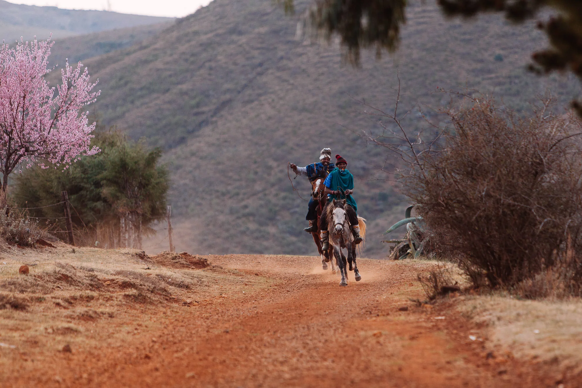 On the road to the border, we stumbled upon a Bosotho horse race taking place in a small village. Racing ponies are trained to 'tripple', a gait between a trot and a canter.