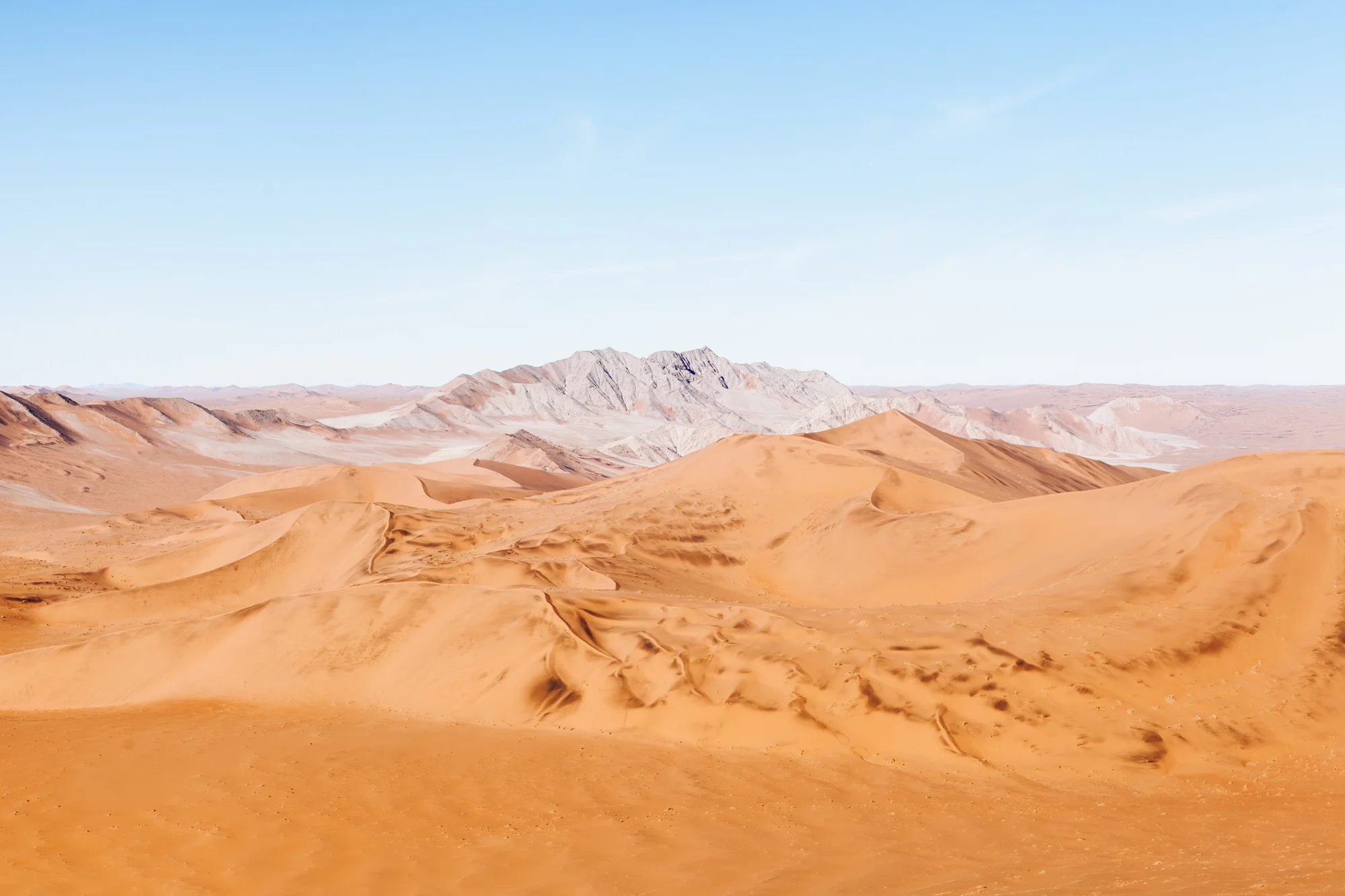 Endless views of the oldest desert in the world from the top of Big Daddy dune.