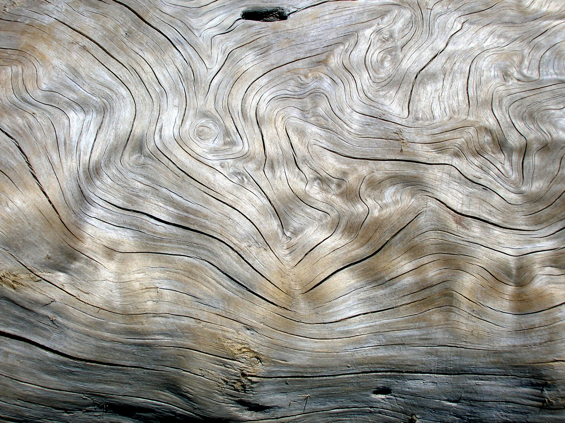 log.jpg