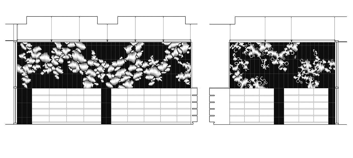 Young+&+Ayata+-+MET+Sections.jpg