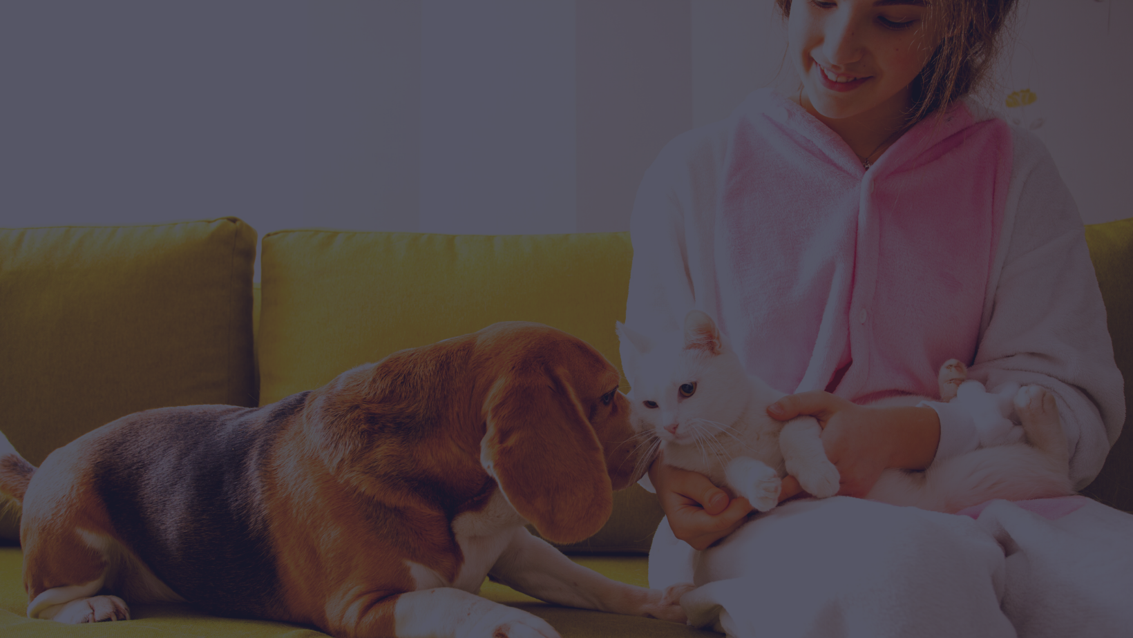 How Your Rental Property Is Affected By Pets
