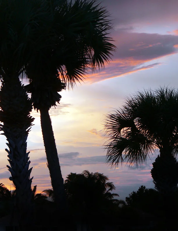 P1100857 fl sunset.jpg