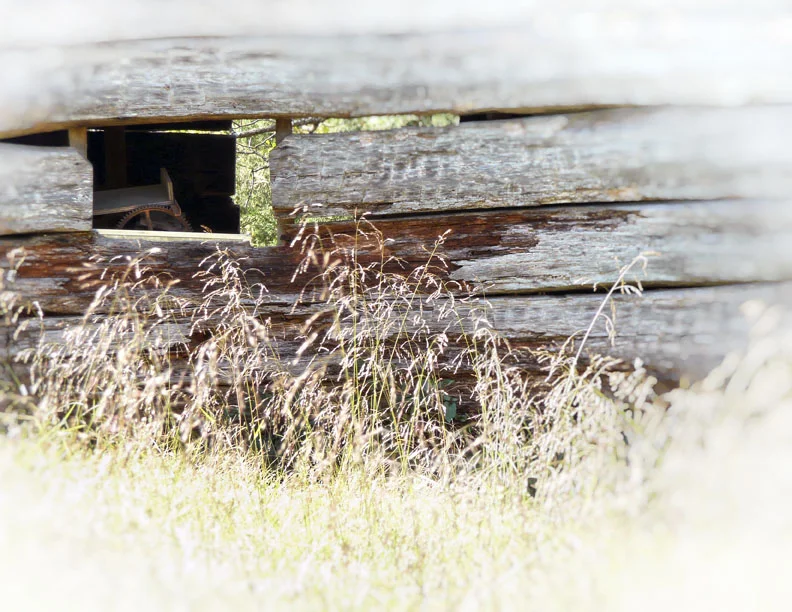P1010400 corncrib.jpg