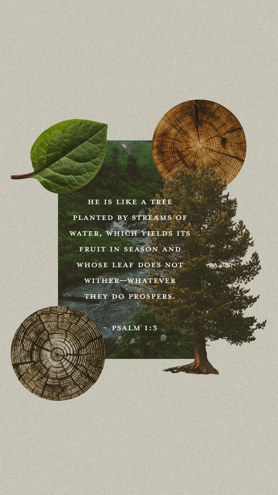 Week 1: Psalm 1:1