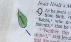 I put a green leaf in my Bible when I come across a verse that contains a truth that, if lived out or held close, really leads to a “green” (opposite to brittle) life. In this case, if I really owned this I wouldn’t resent tough circumstances so much and would live with more freedom as I go through it…