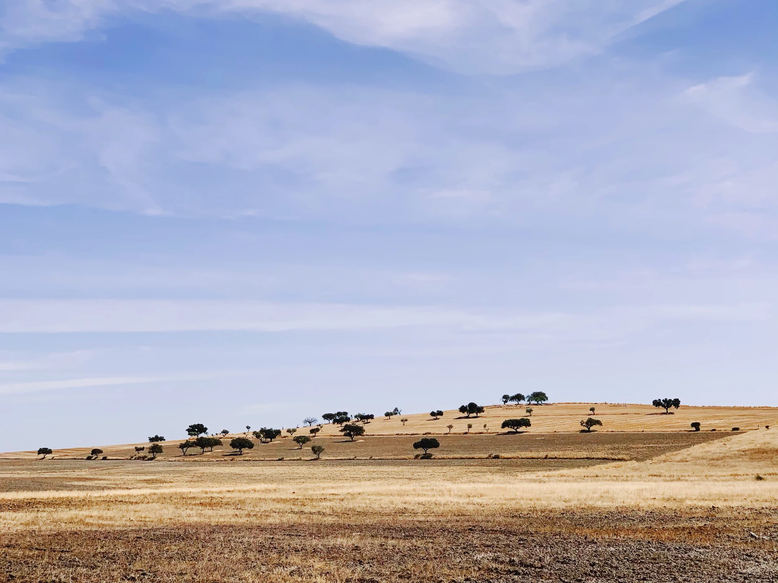 Alentejo - Portugal.