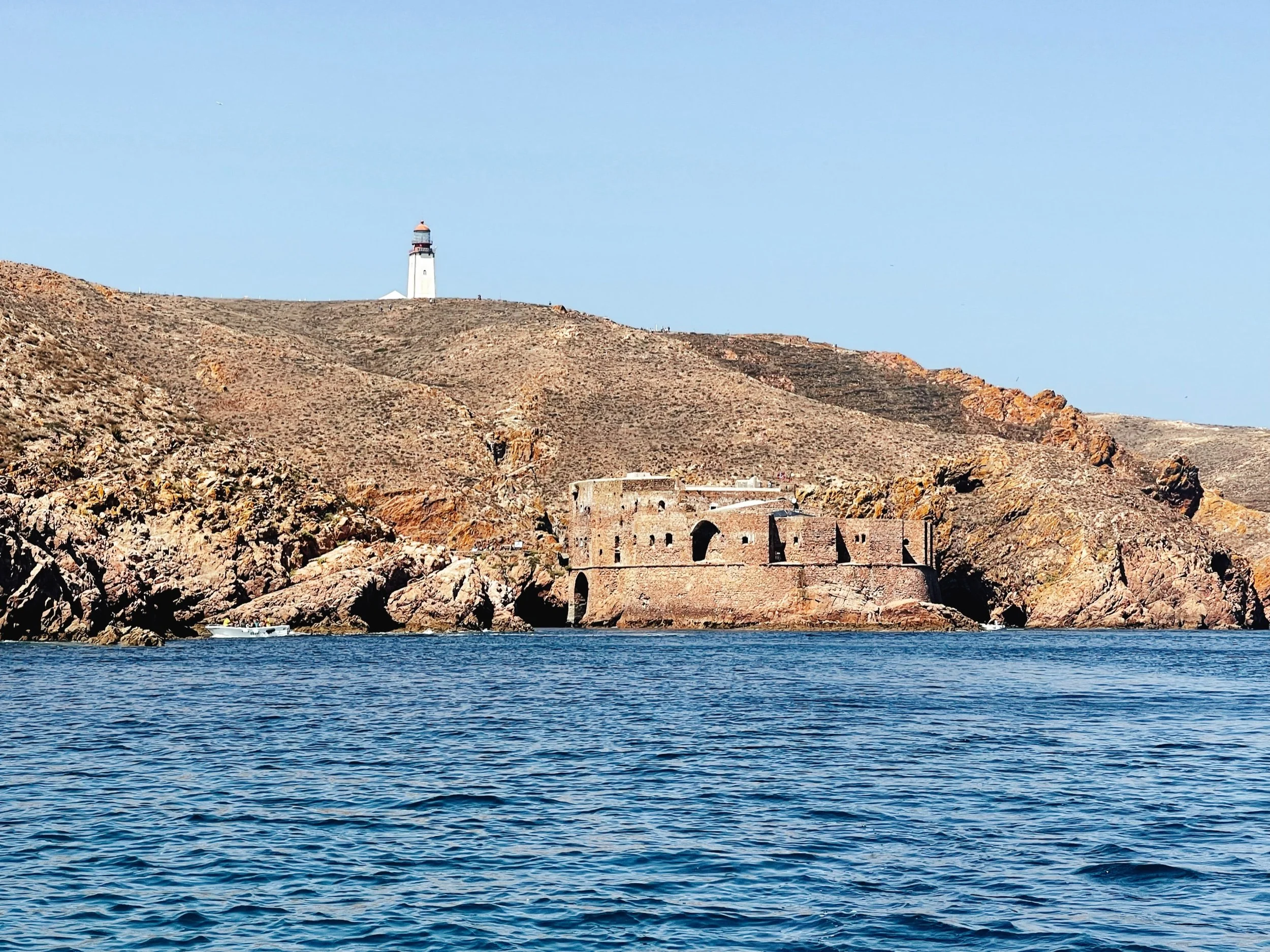 Île de Berlenga, au large de Peniche (Portugal)