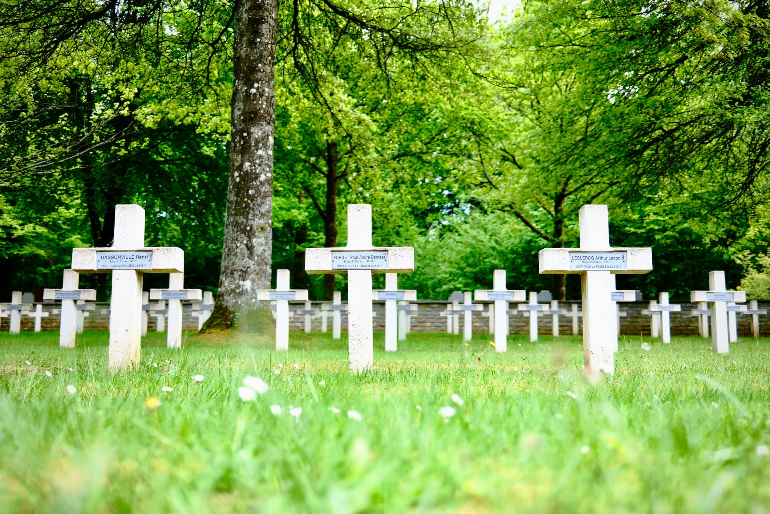 Balade au départ du cimetière militaire franco-allemand du Radan à Bellefontaine