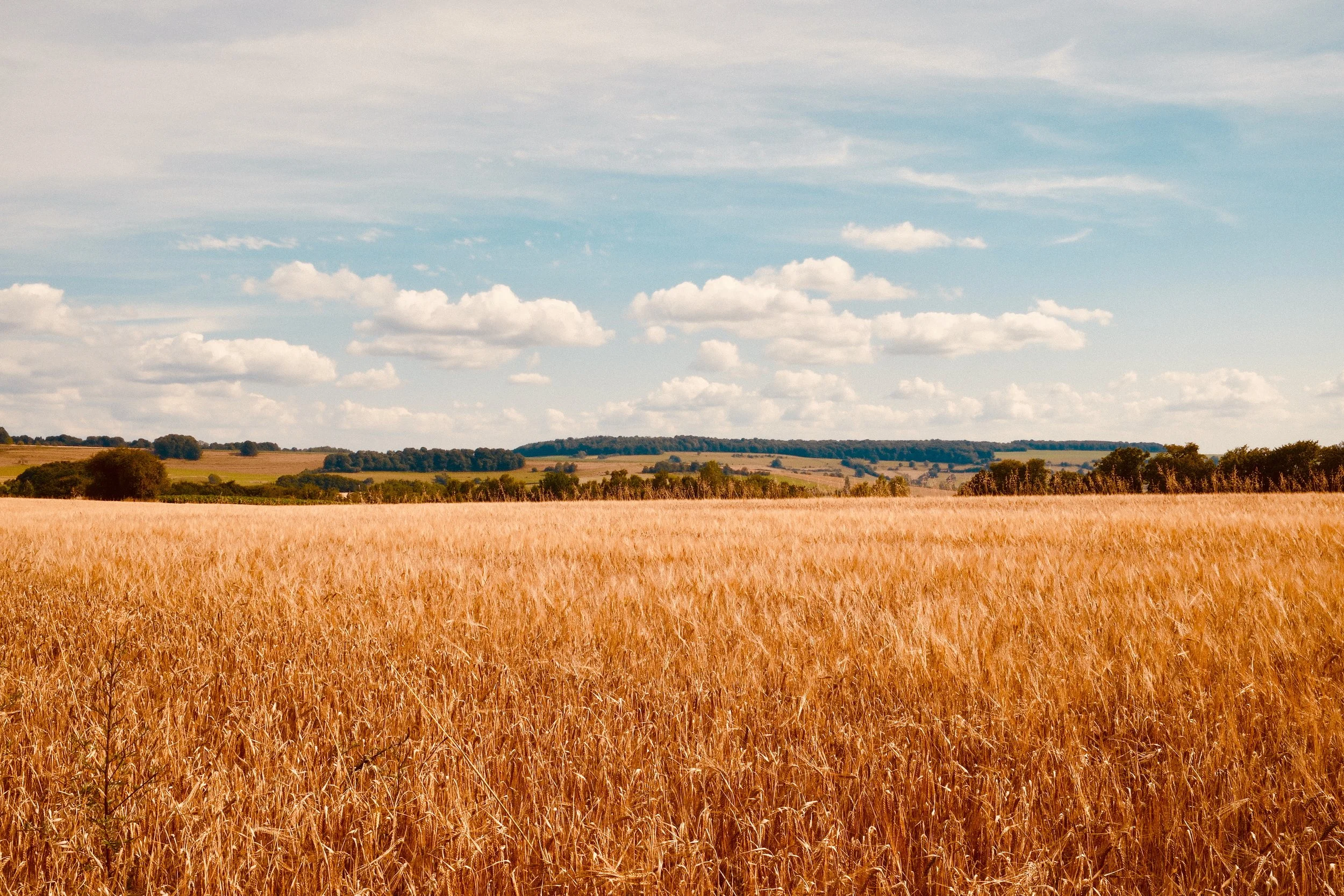 Balade au départ de Meix-Devant-Virton 