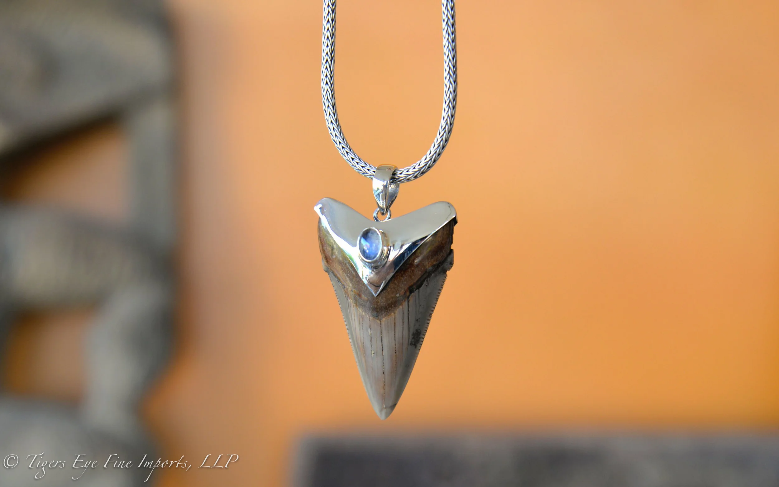We source ancient fossil shark teeth South Carolina, and have them set by our master jewelers. These amazing androgynous pendants are quite the eye catcher! 