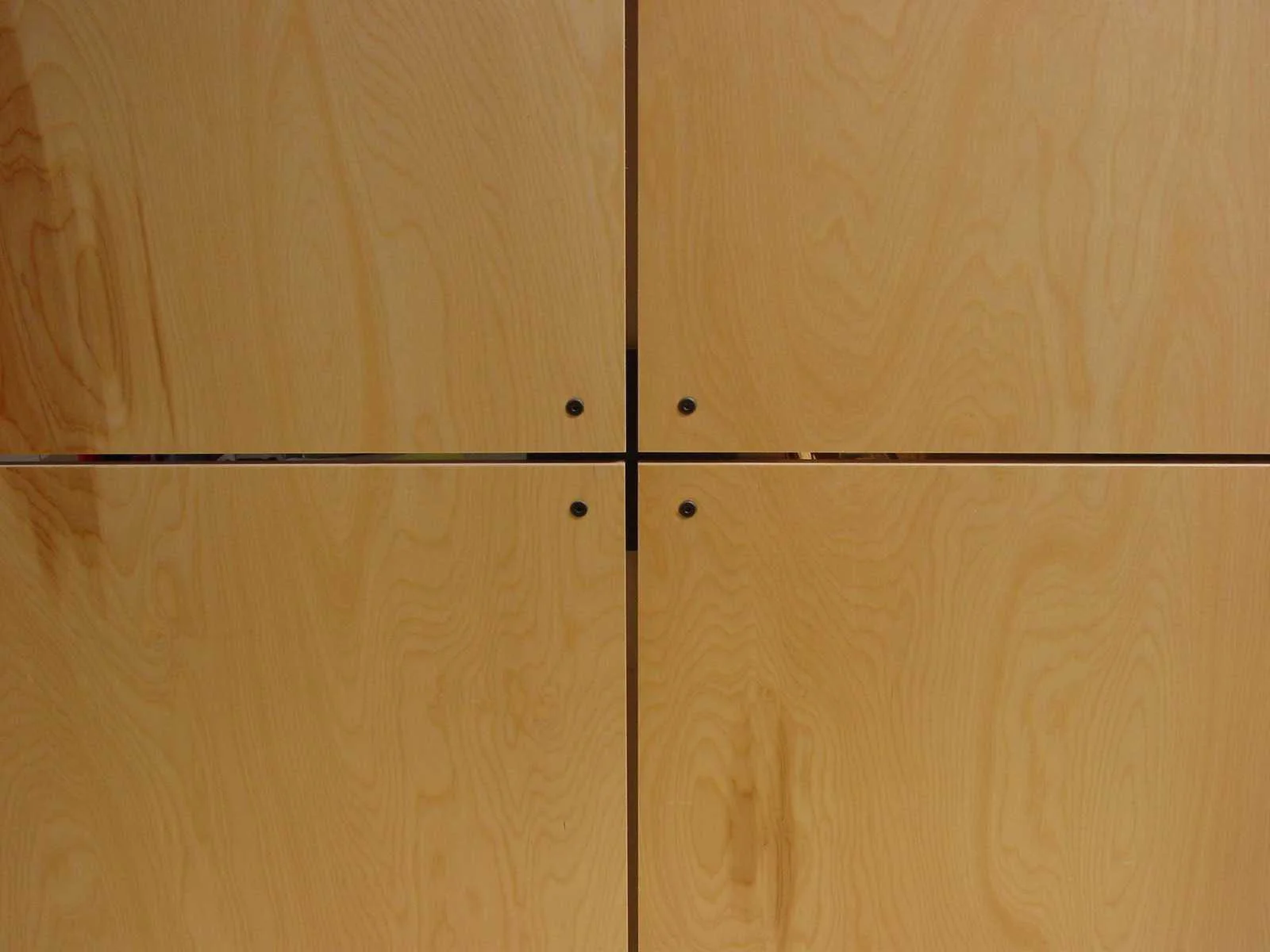 Placebirch detail.jpg