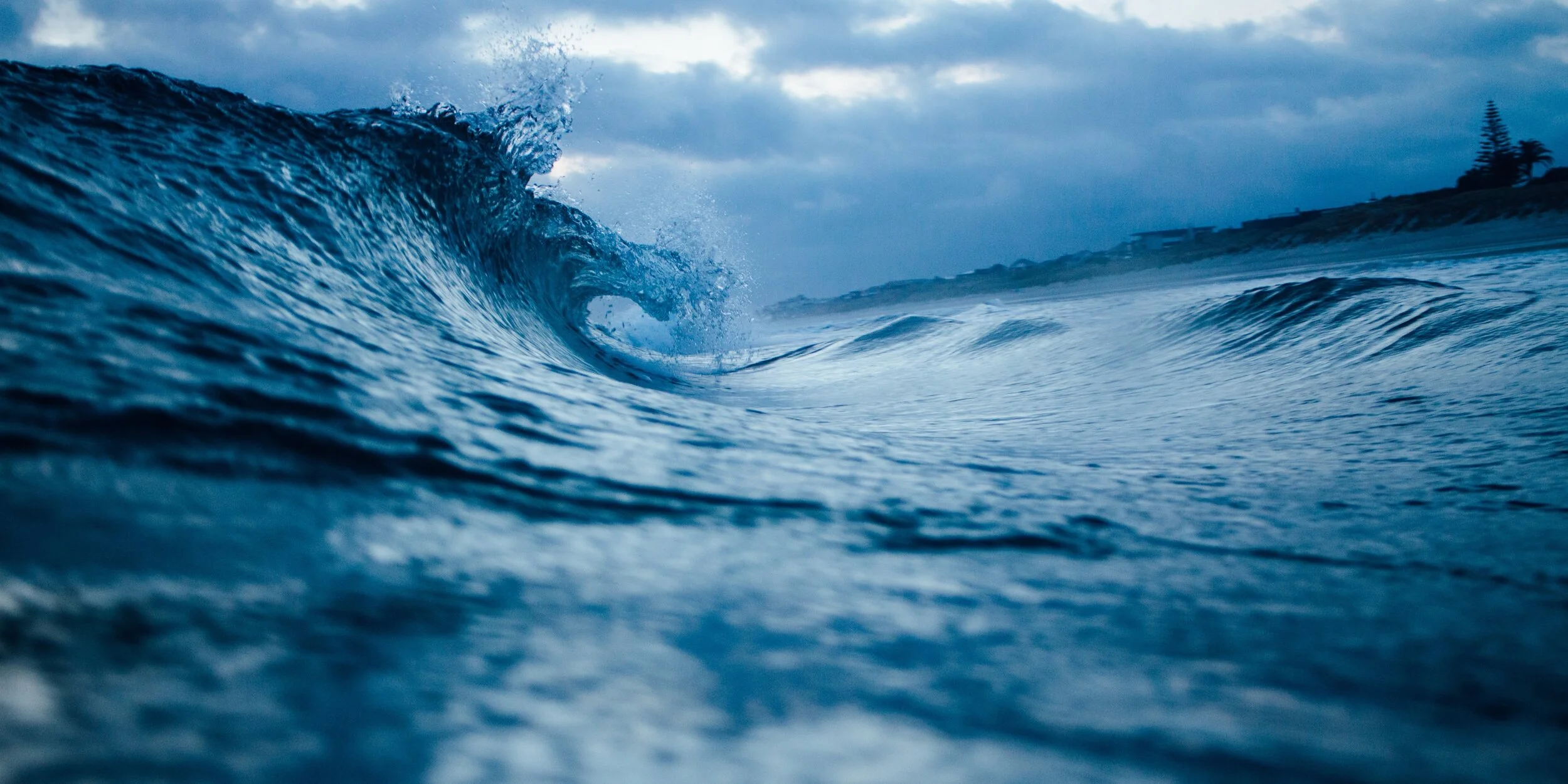 tim-marshall-57456-unsplash (1).jpeg