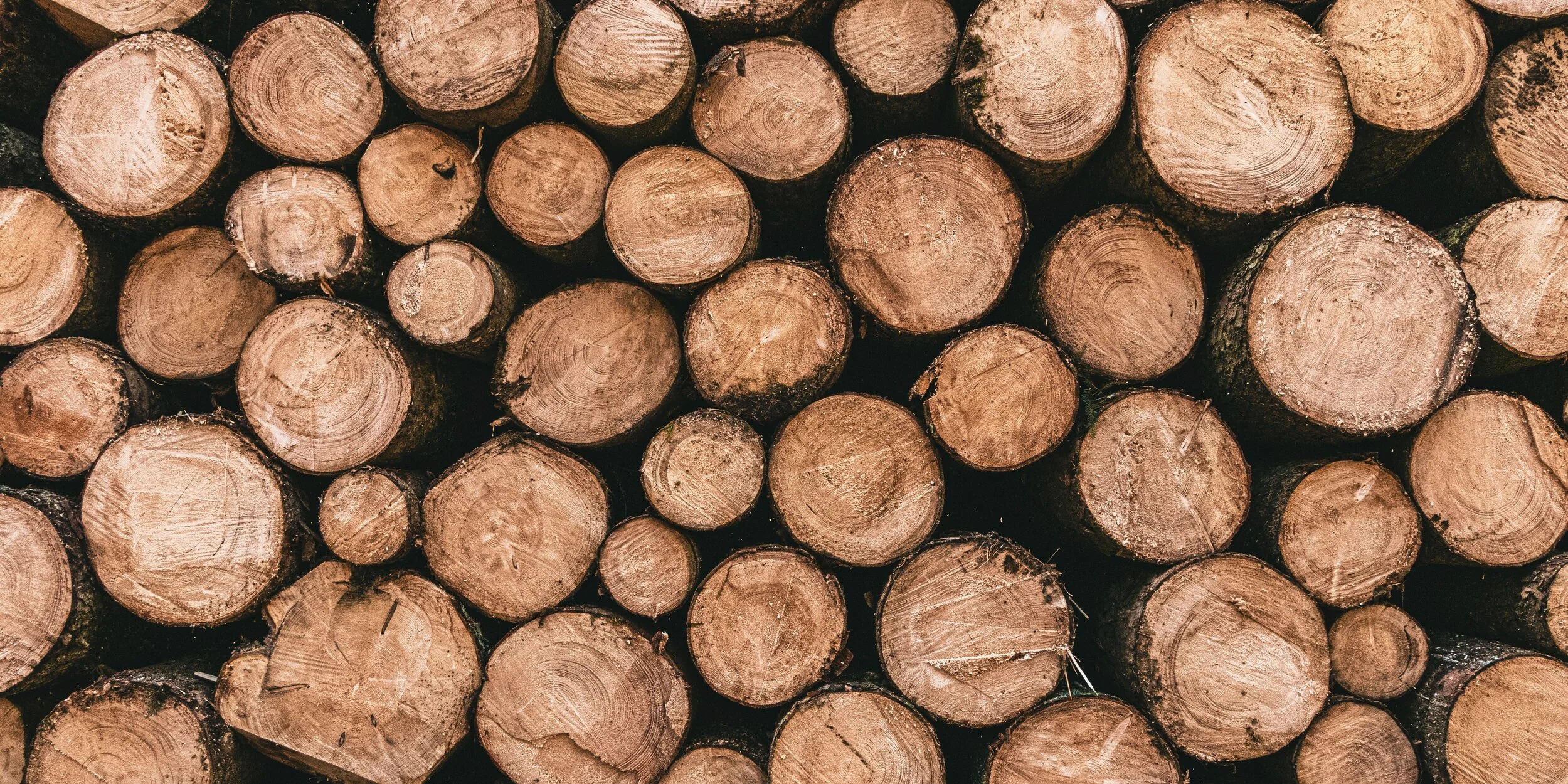 timo-c-dinger-Oo3L5fL1lBU-unsplash.jpeg