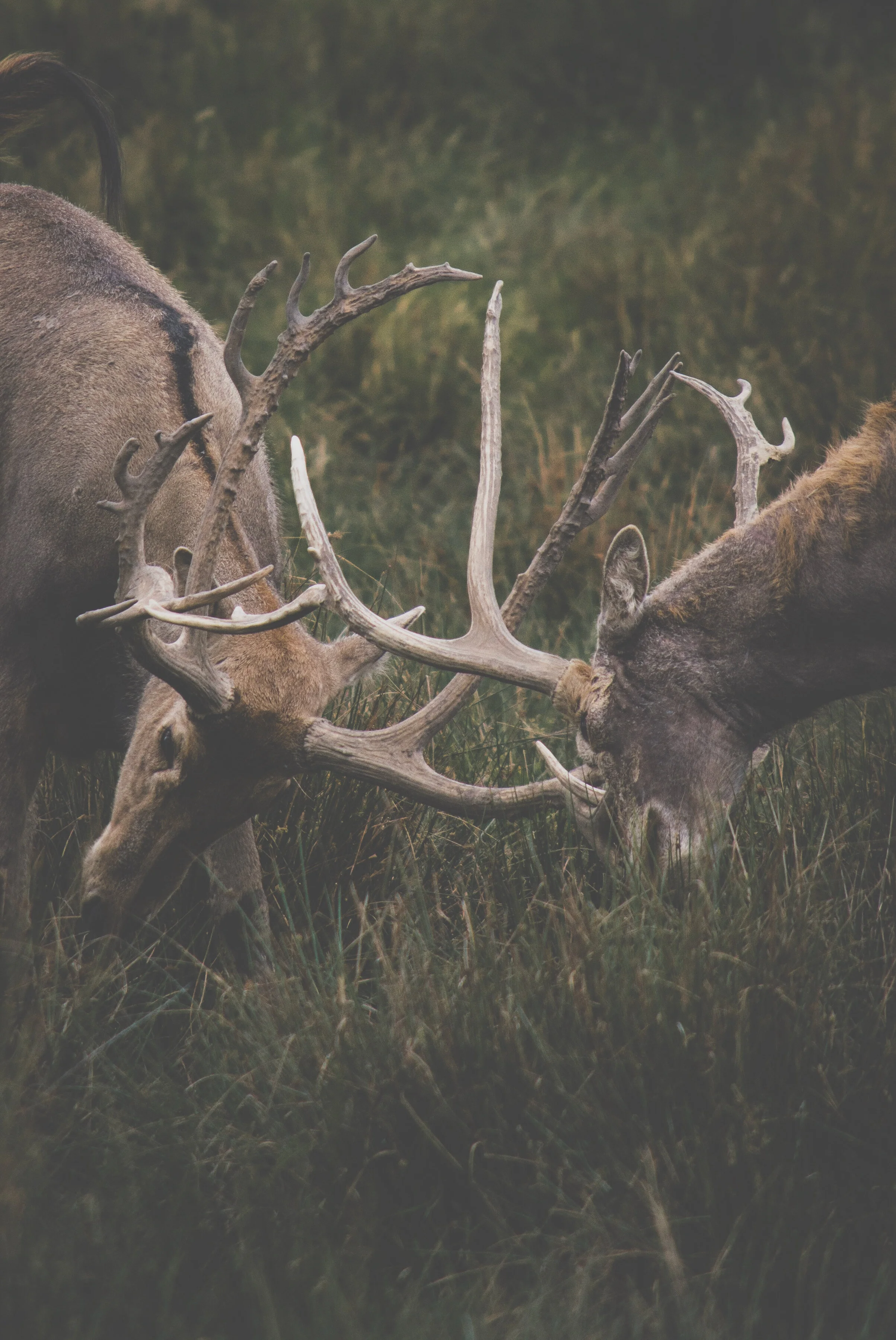 Biblical conflict resolution