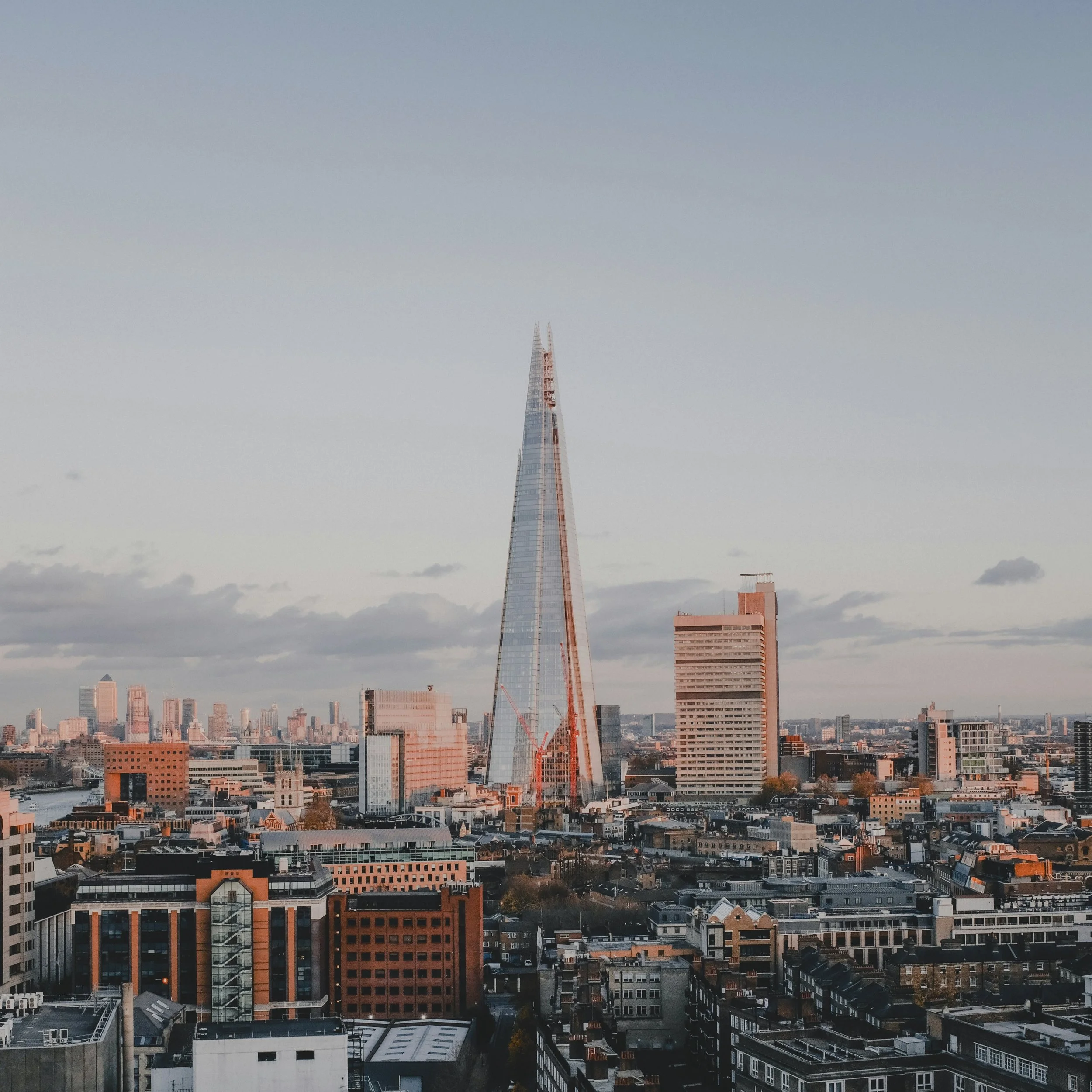 The Paradox of Leadership