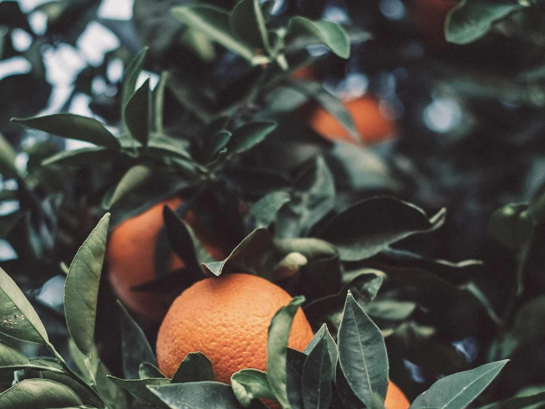 angelo-pantazis-xUY3p0SqovM-unsplash.jpeg