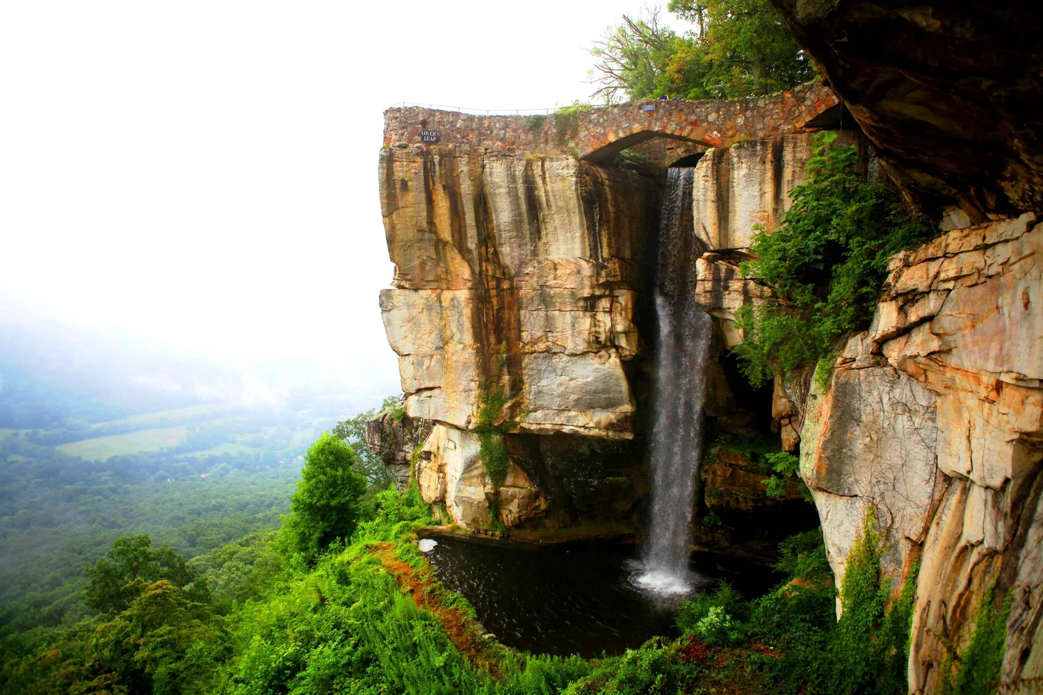 成功案例— 鲍夫曼和王|美国移民律师事务所| 加州旧金山移民律师| EB-5 |美国政治庇护| 美国投资移民|美国递解出境|申请上诉|美国移民|绿卡