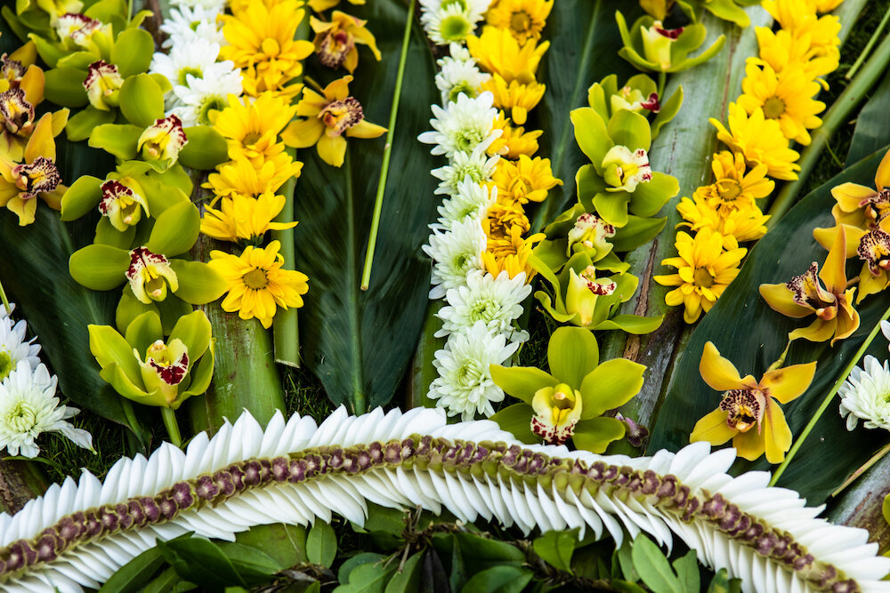 kimie -- april- hoffsten-15.JPG