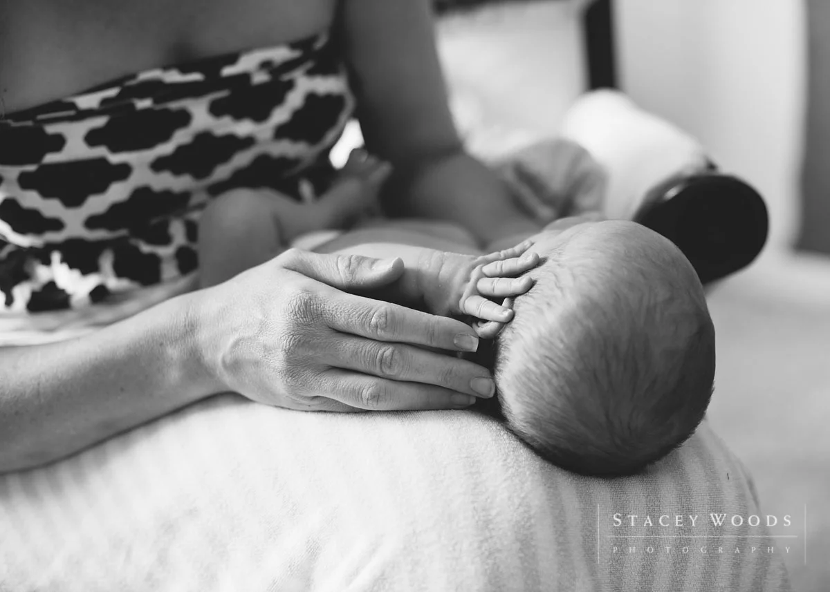 newborn photography clearwater fl