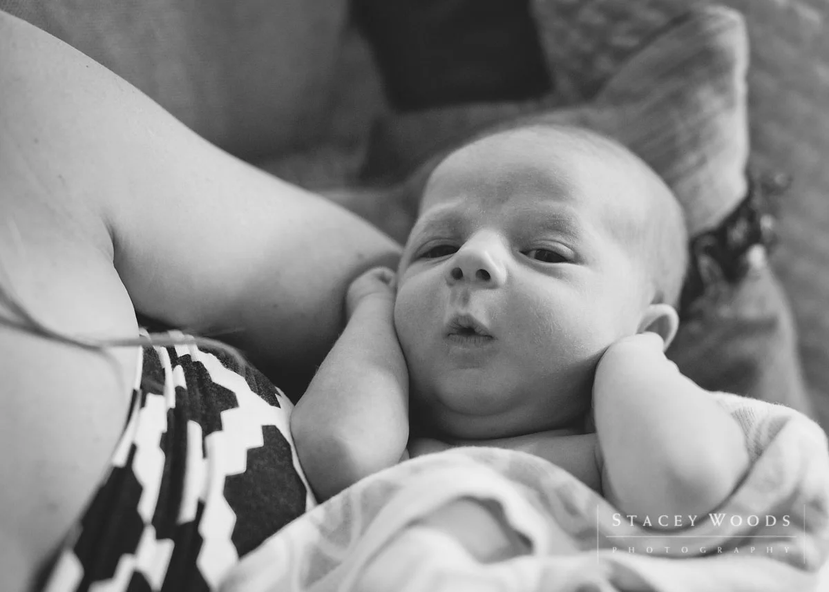 Stacey Woods clearwater newborn lifestyle photographer