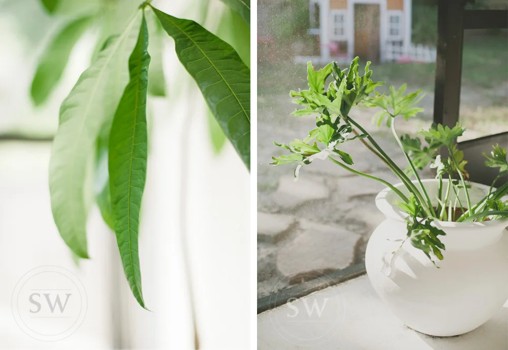 Stacey Woods Photography: lifestyle details