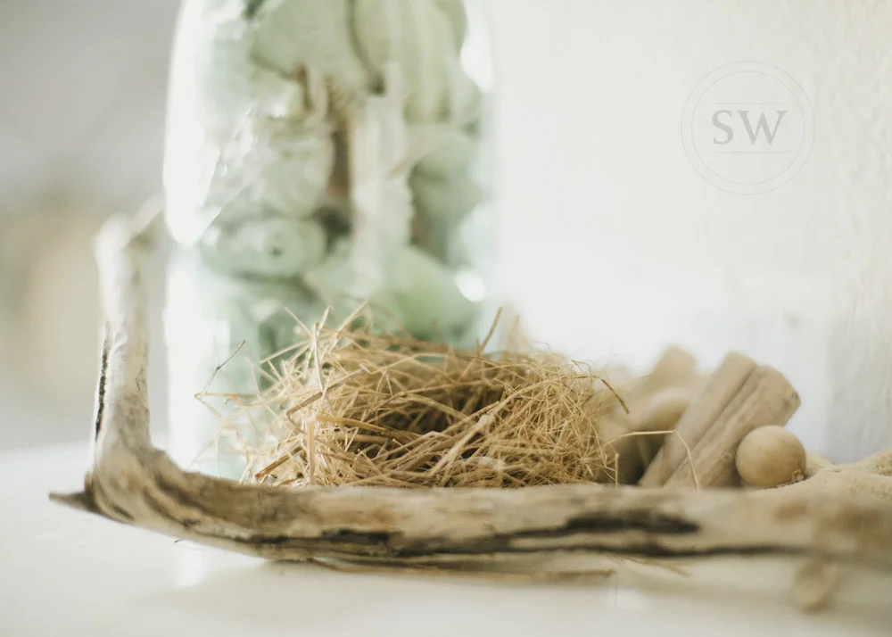 Stacey Woods Photography: lifestyle details