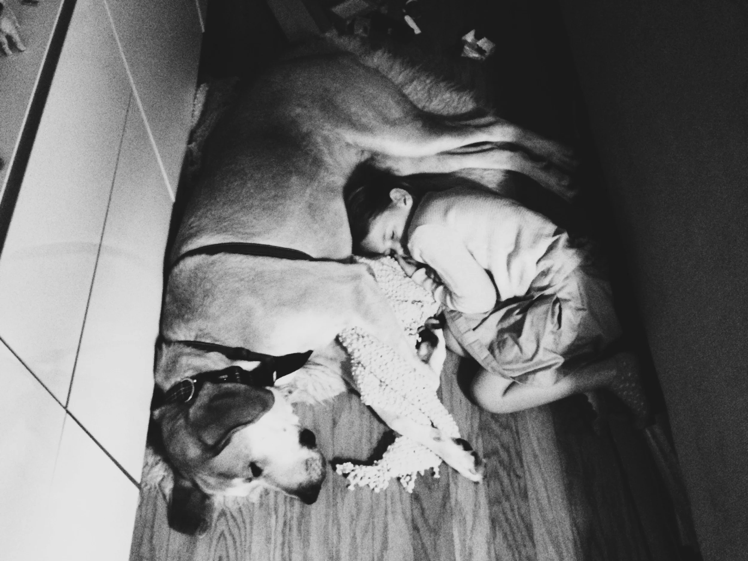 Rescuing Ace, Rescuing Us