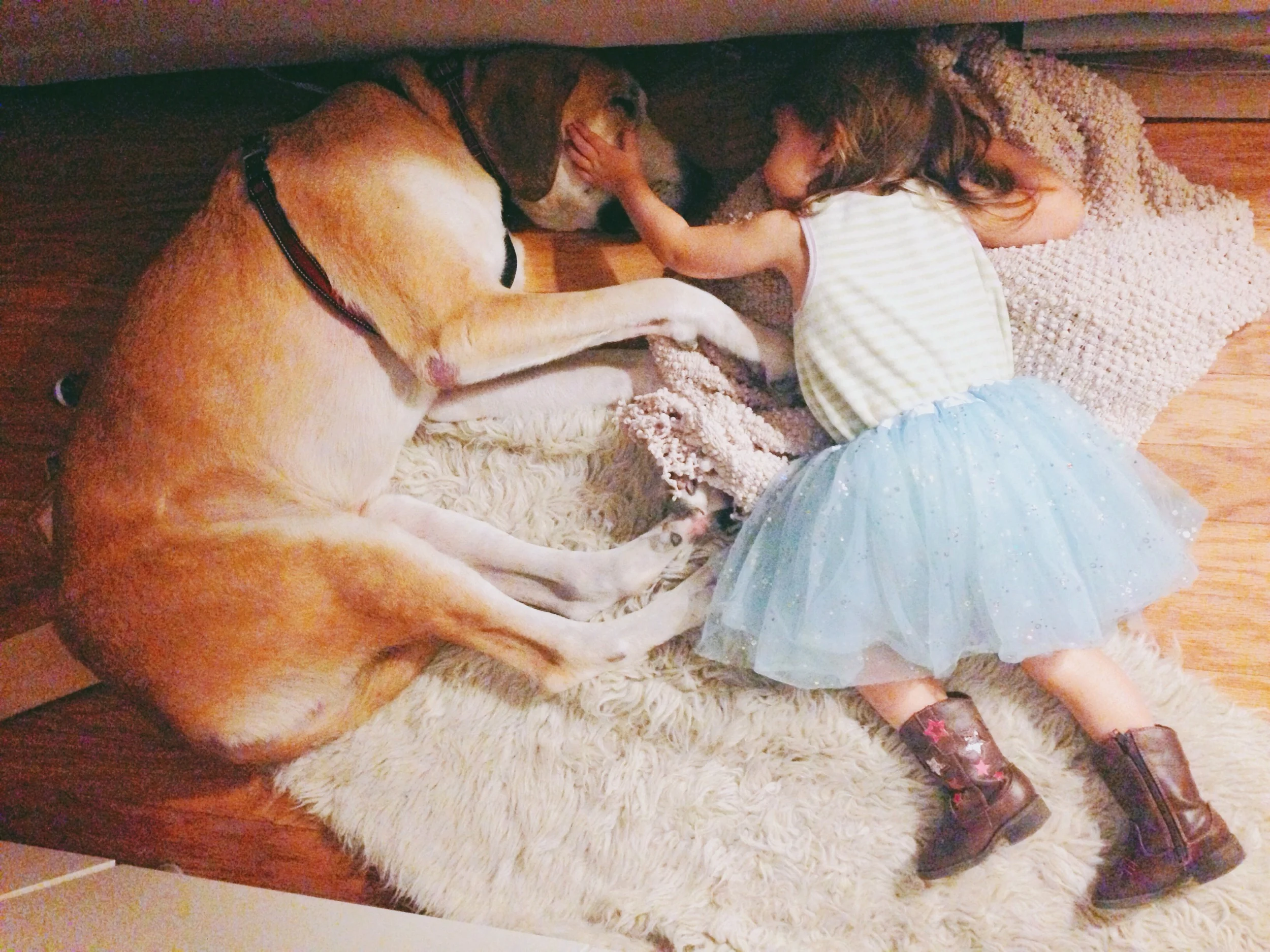 Rescuing Ace, Rescuing Us