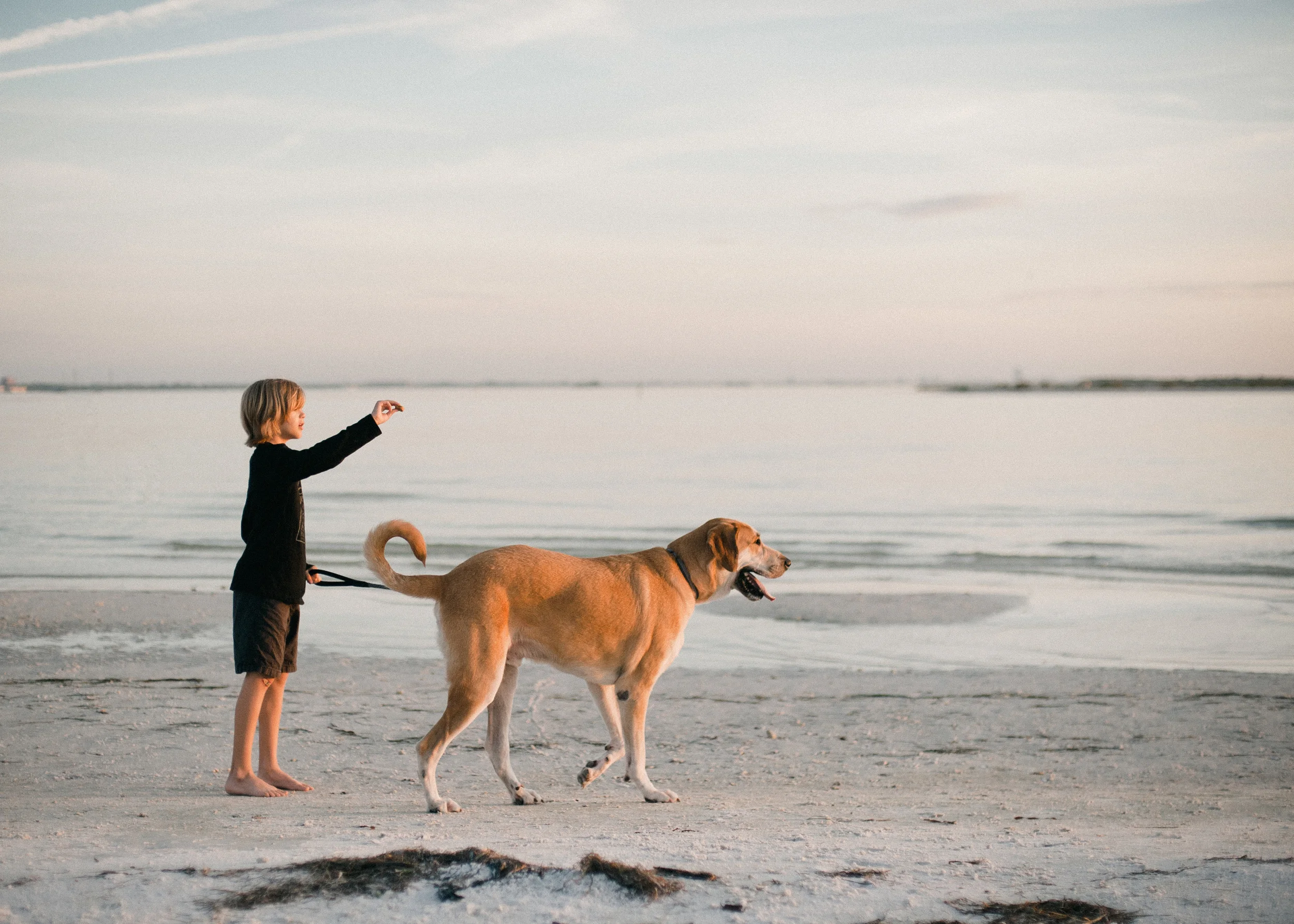 beach photography Stacey Woods