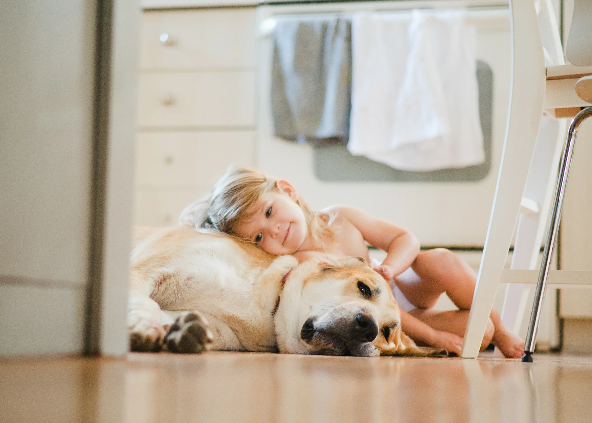 Rescuing Ace, Stacey Woods Photography