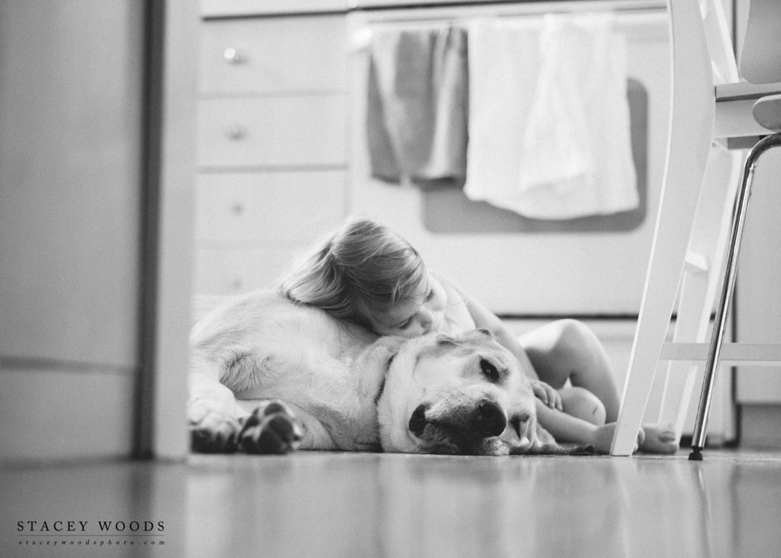 Rescuing Ace the Labradane, Stacey Woods Photo