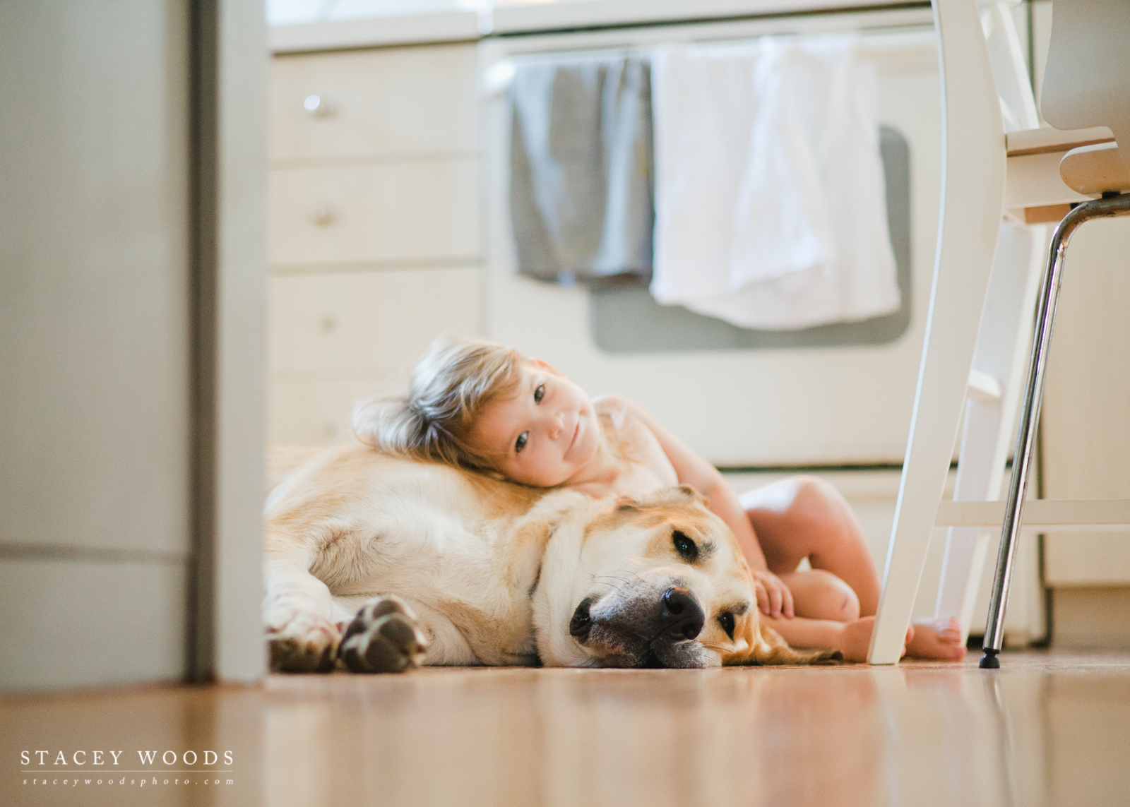 Stacey Woods Photography, #rescuingAce the labradane