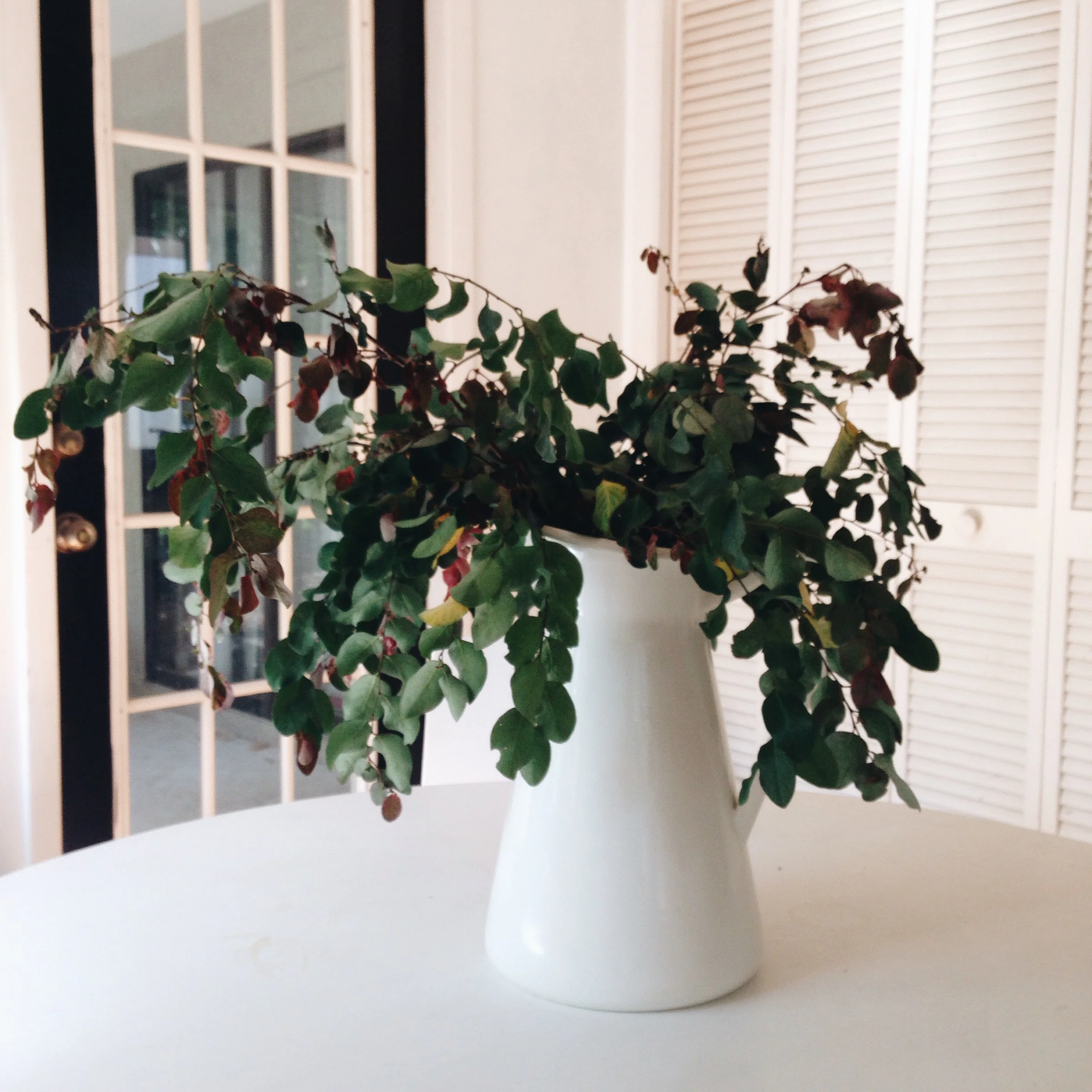Foraged branches for summer