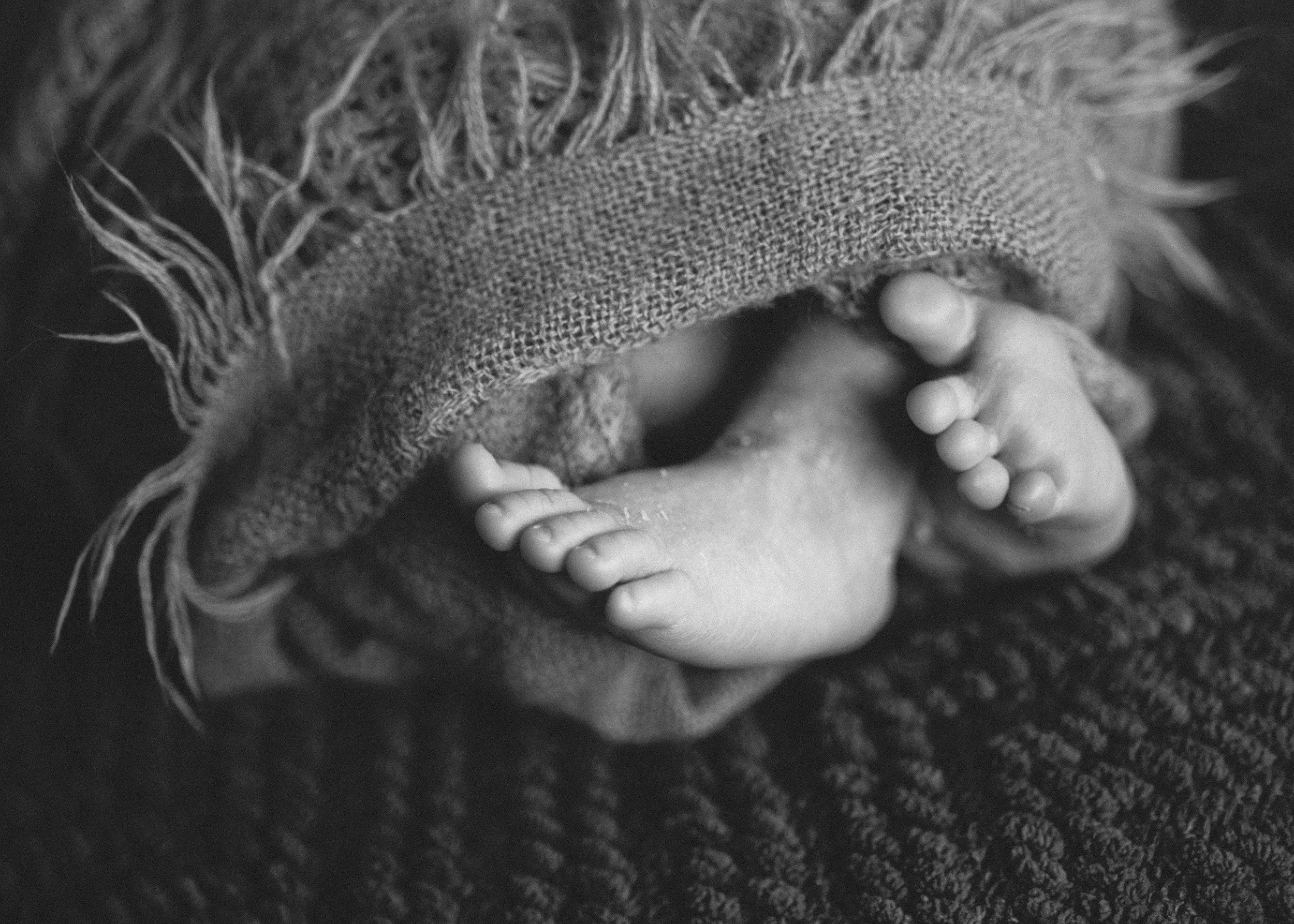 St Petersburg newborn photographer