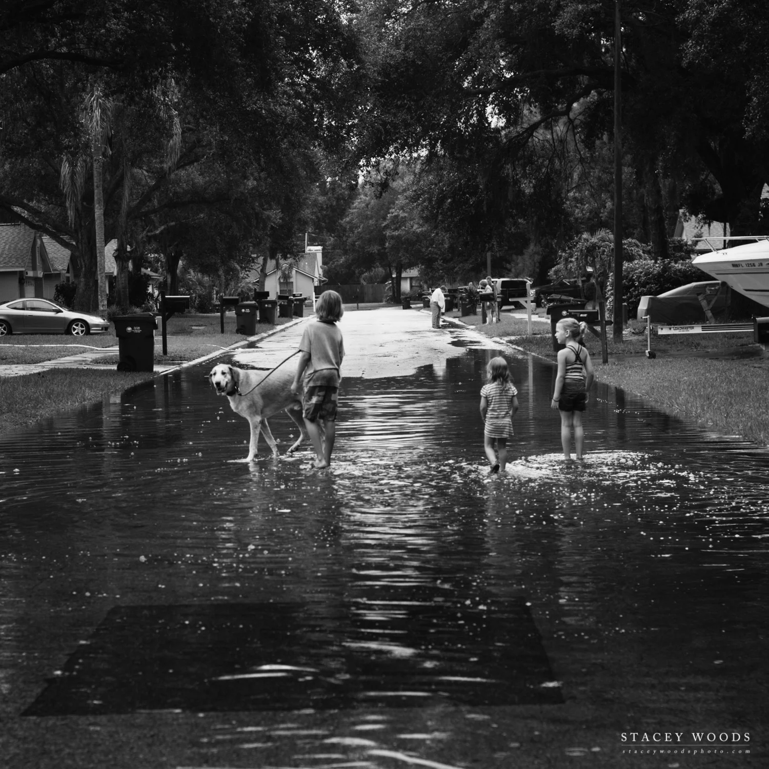 Tampa Bay Flooding 2015, Stacey Woods