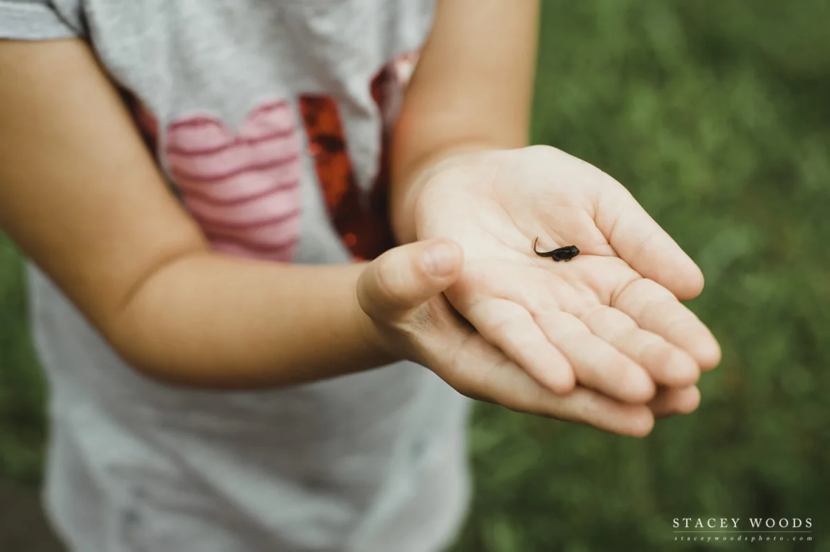 Tadpoles