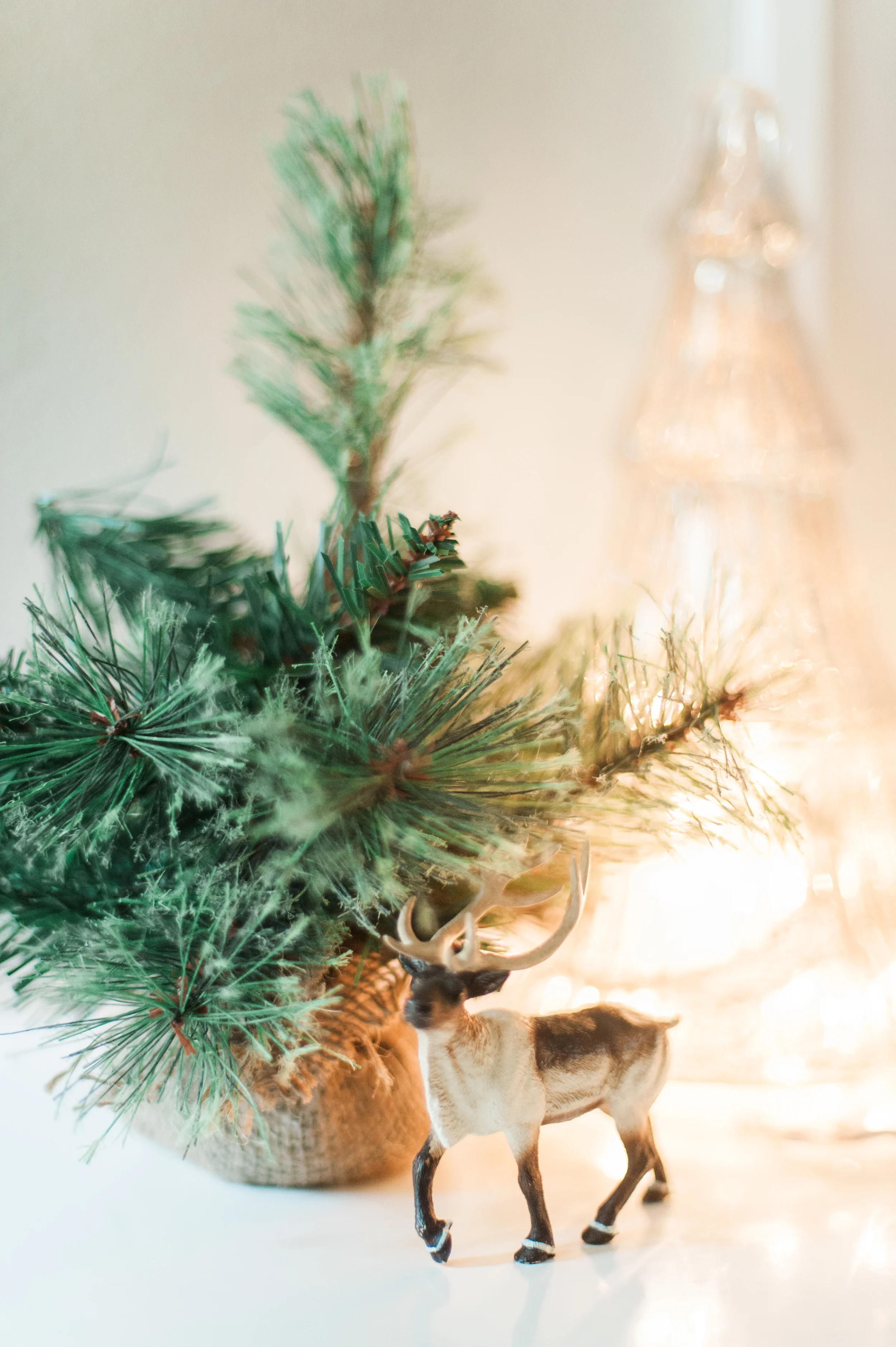 Christmas Reindeer decor