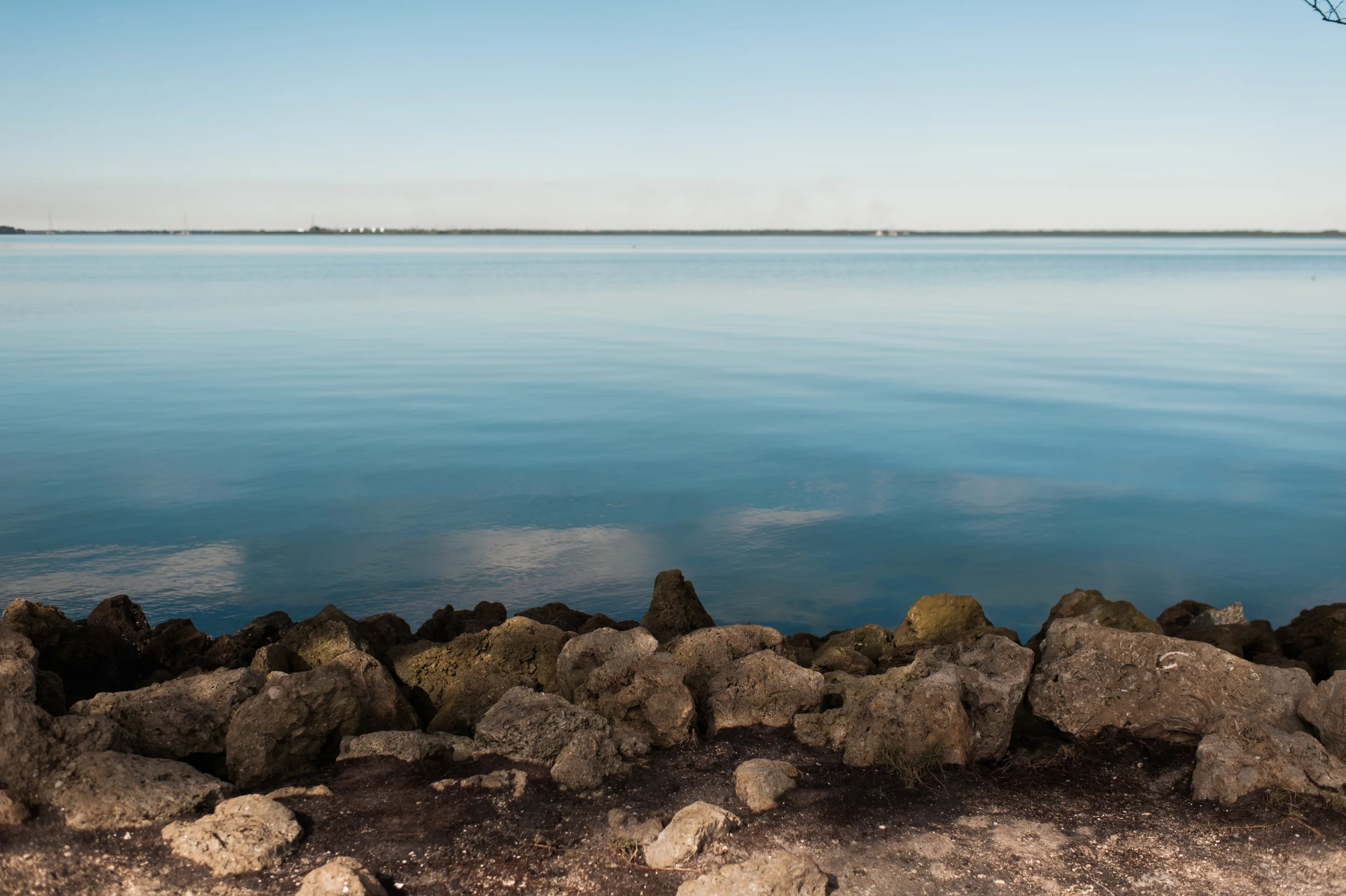 Tampa Bay Florida by Stacey Woods