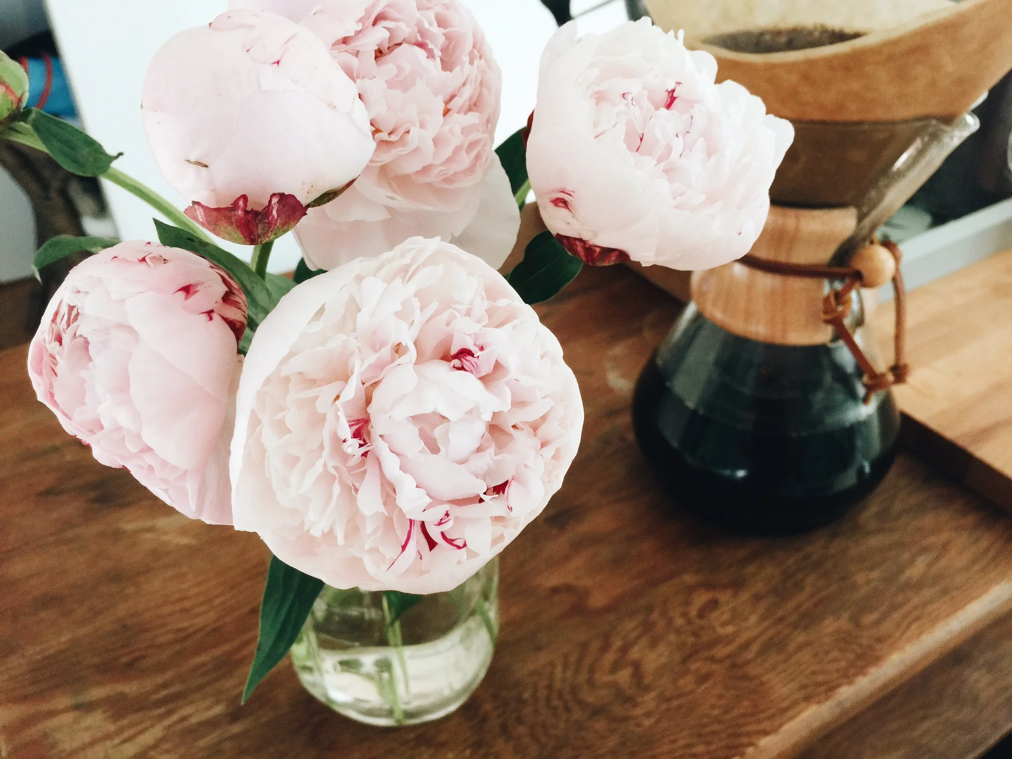 Peonies and Chemex Coffee, Stacey Woods