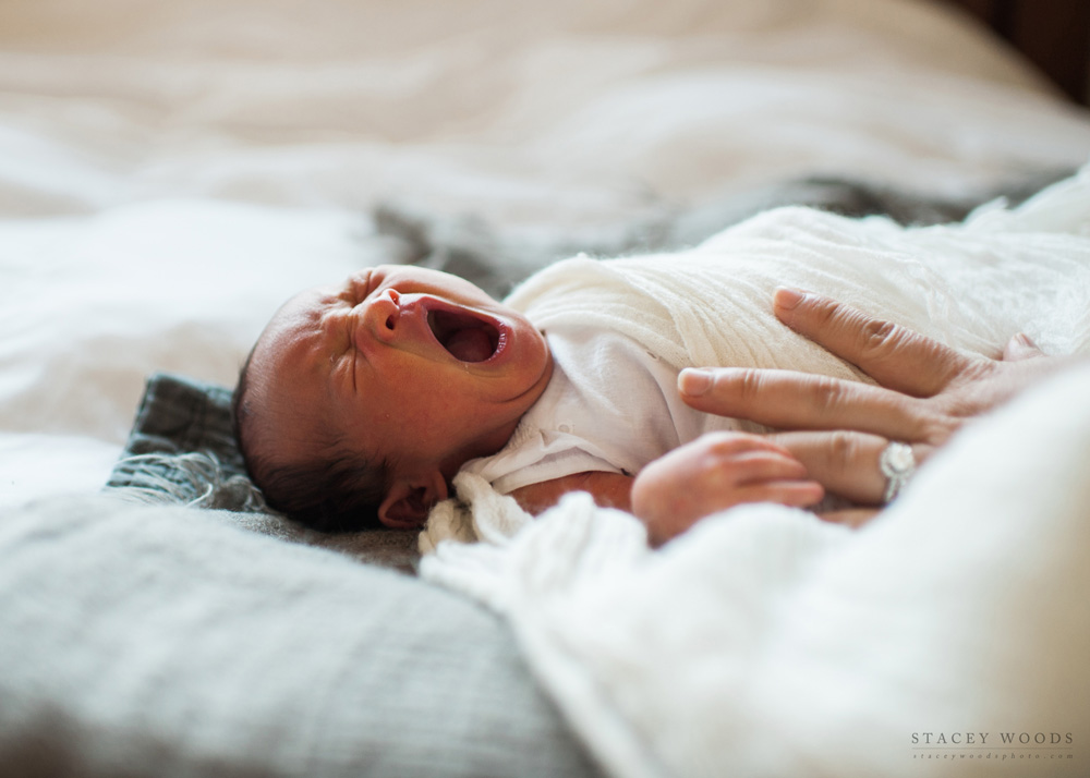 Yawn by Stacey Woods