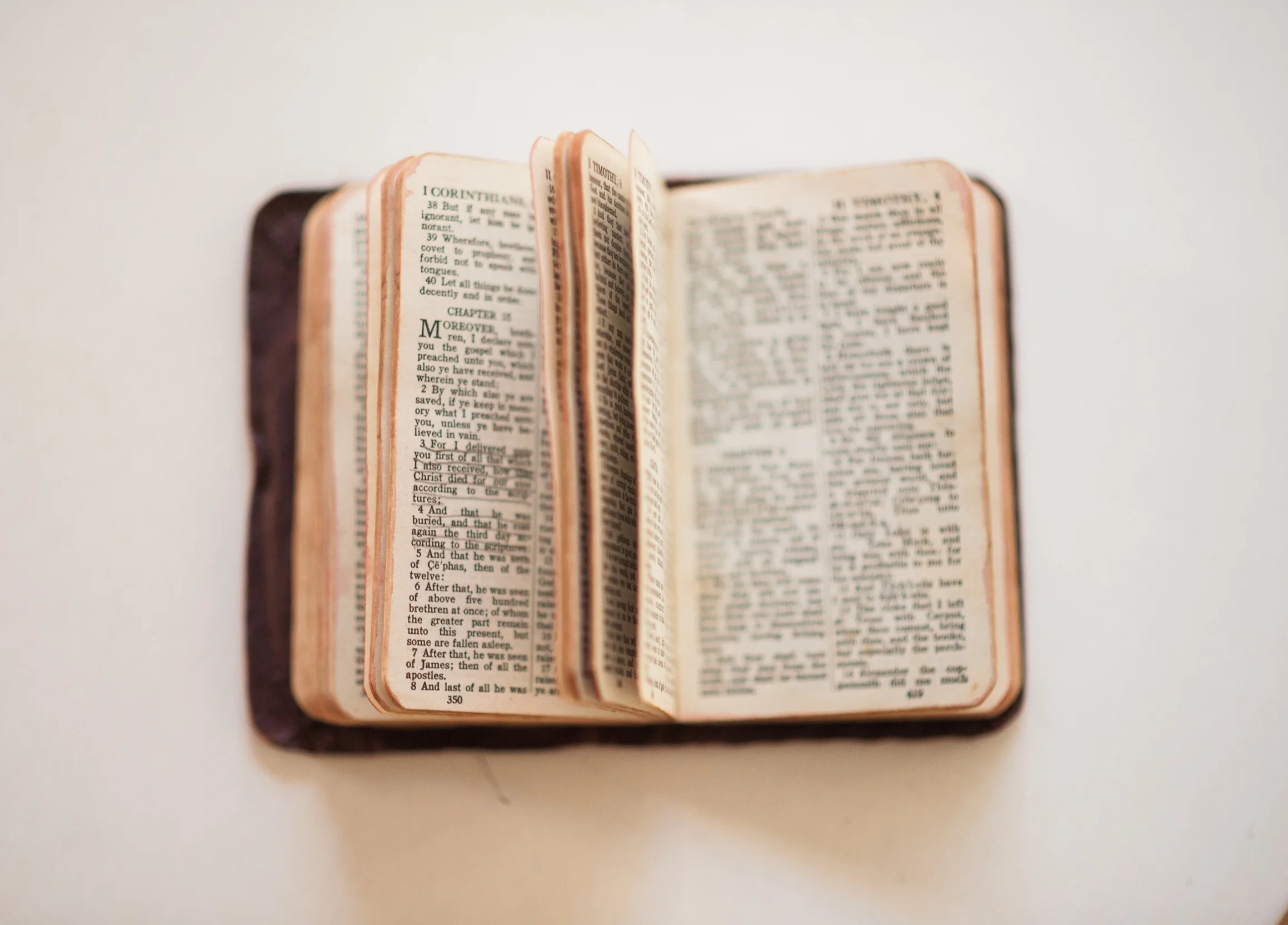 Stacey Woods, Momaw's Bible