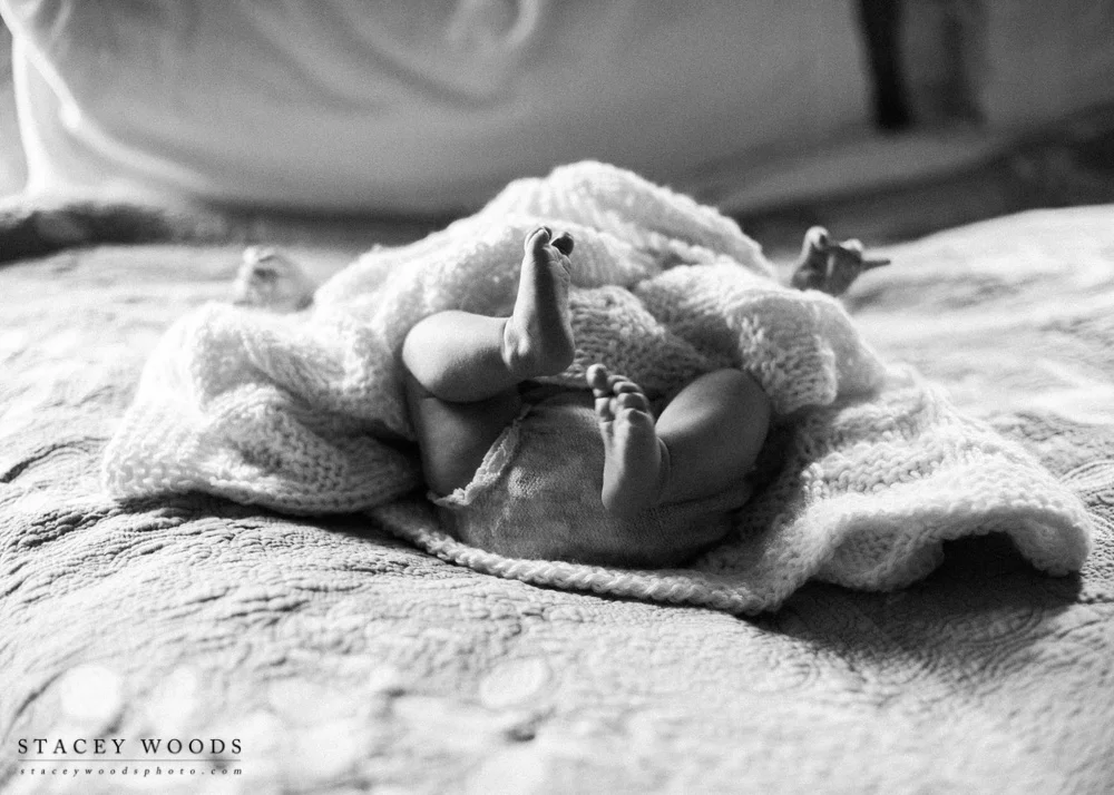 Stacey Woods Newborn Photographer
