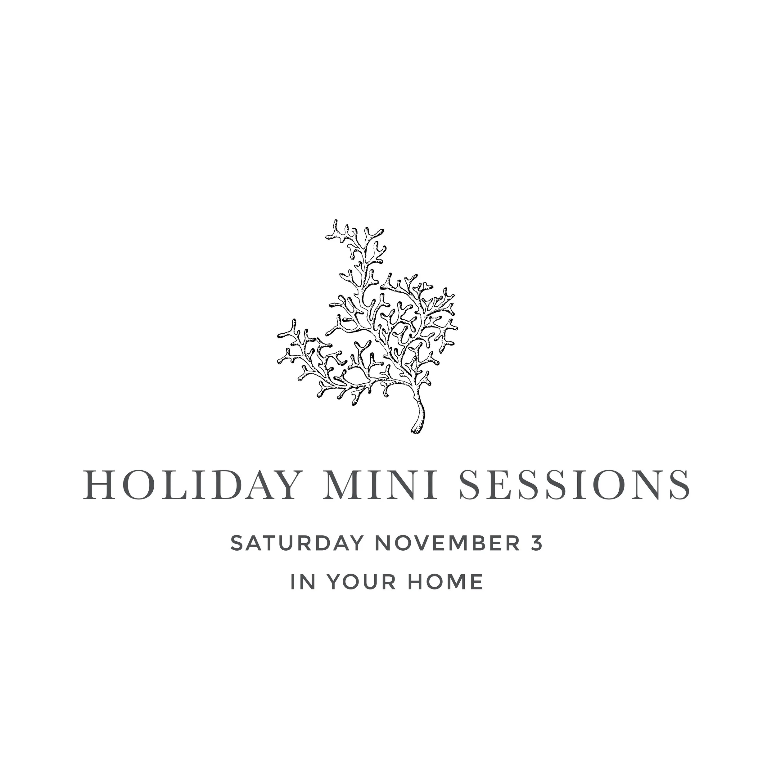 Stacey Woods Holiday Mini Sessions