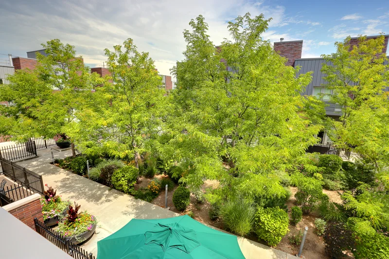 View of Courtyard_SMALL FOR WEB.jpg