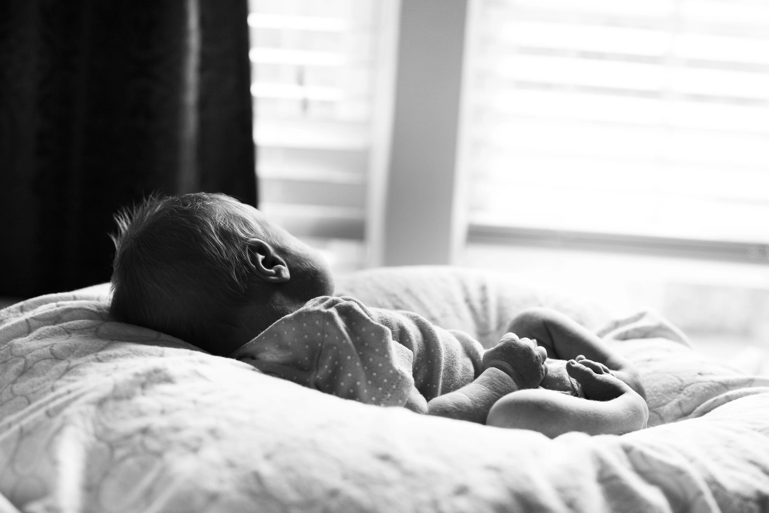 Brandy Cardarelli Photography