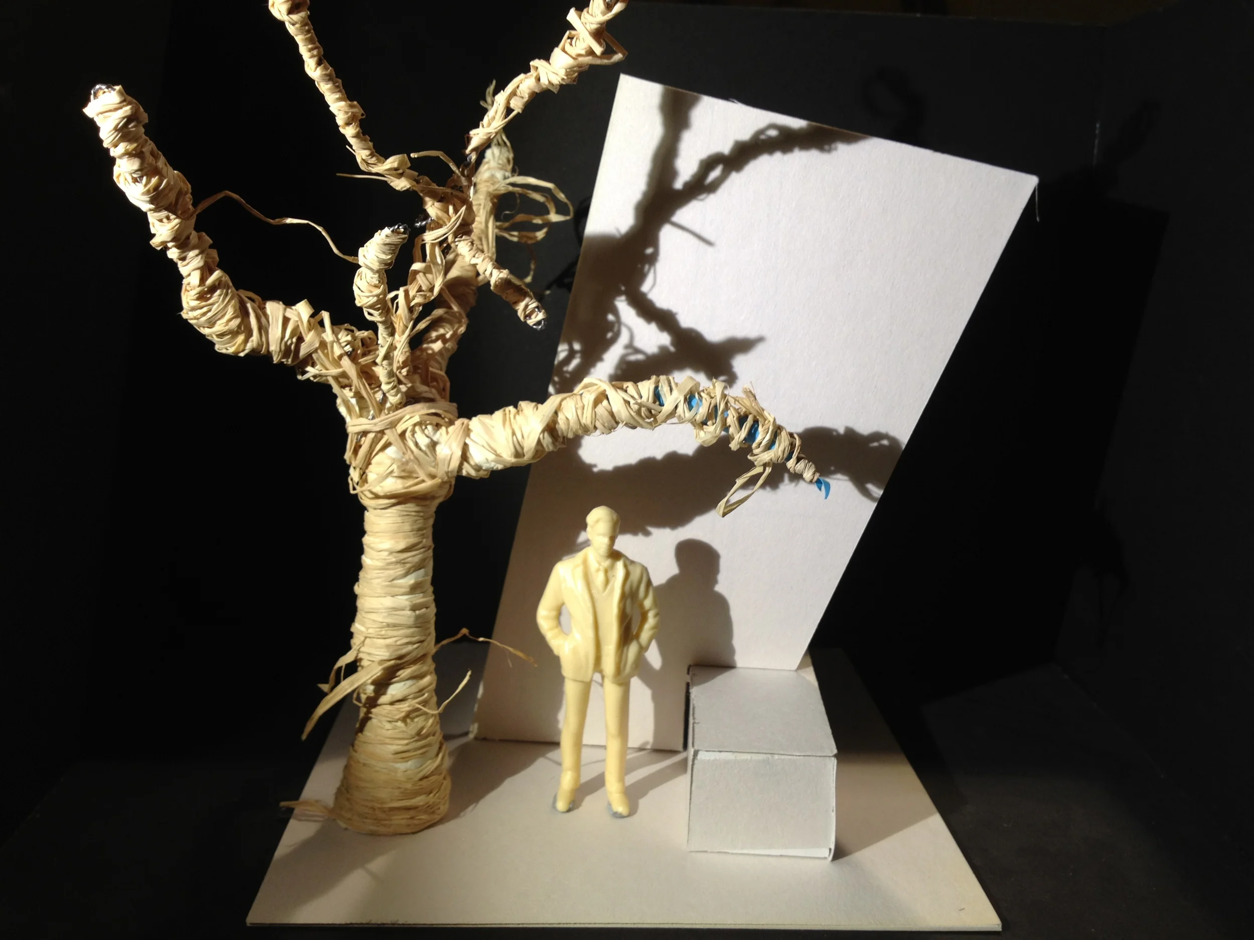 Initial model box design