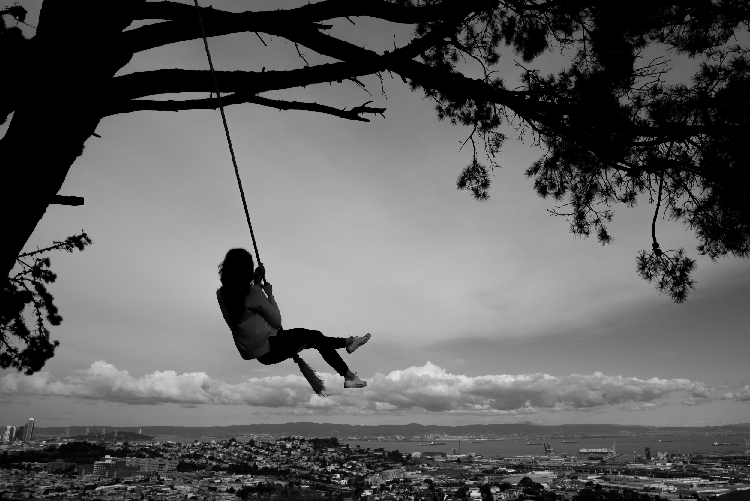 San Francisco California: There's a Cat Hair in My Tea and 5 Unique Spots Infinitely Better Than Fisherman's Wharf