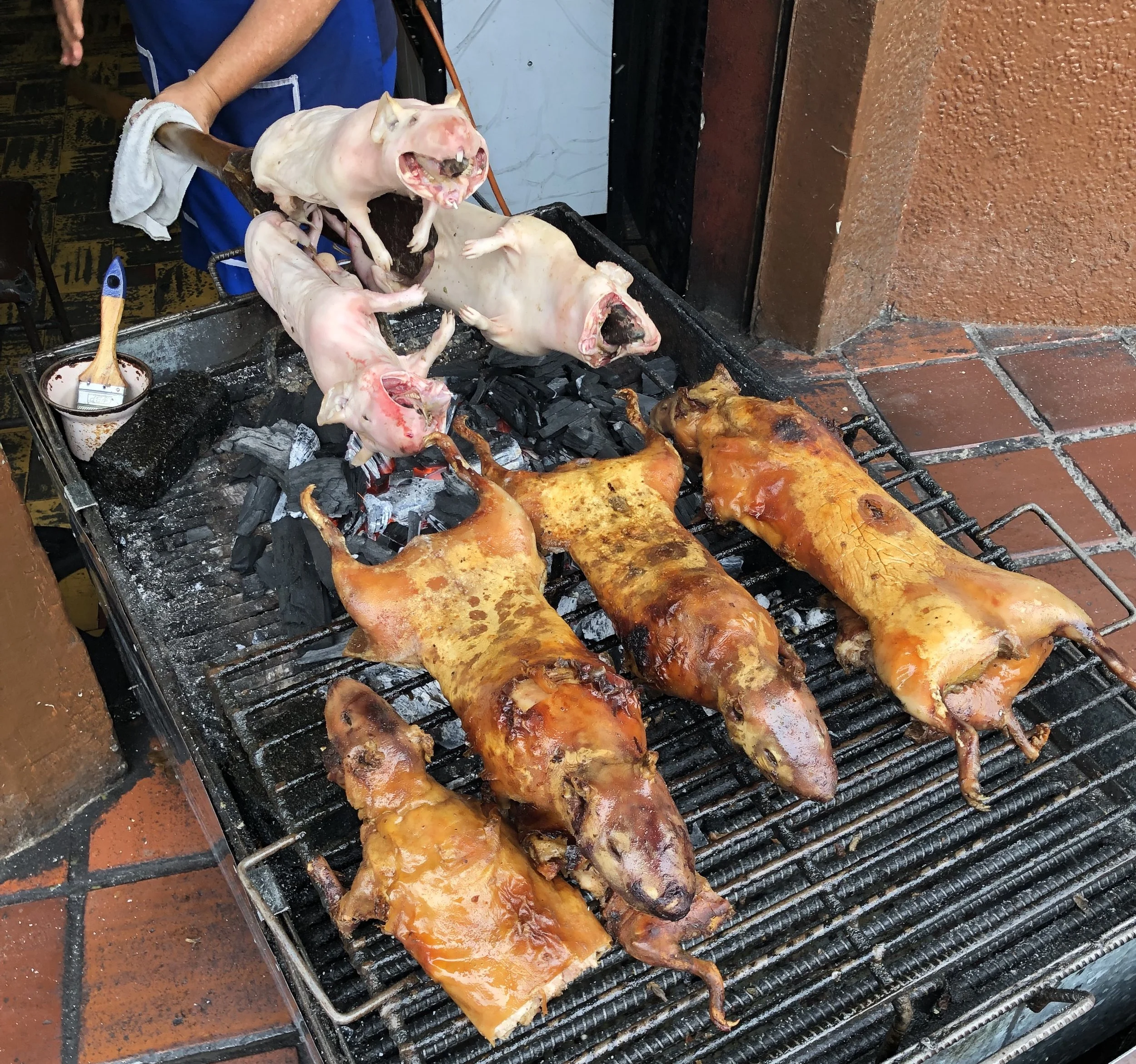I tried guinea pig at the market in Ecuador. Charise declined…